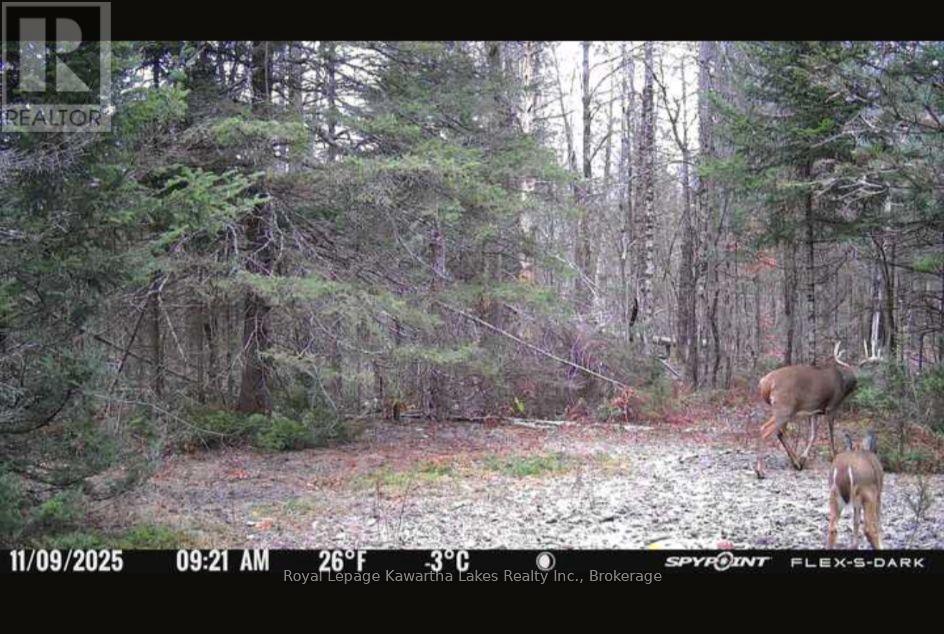 244 Dutch Line Road W, Trent Lakes, Ontario  K0M 2A0 - Photo 20 - X13751892