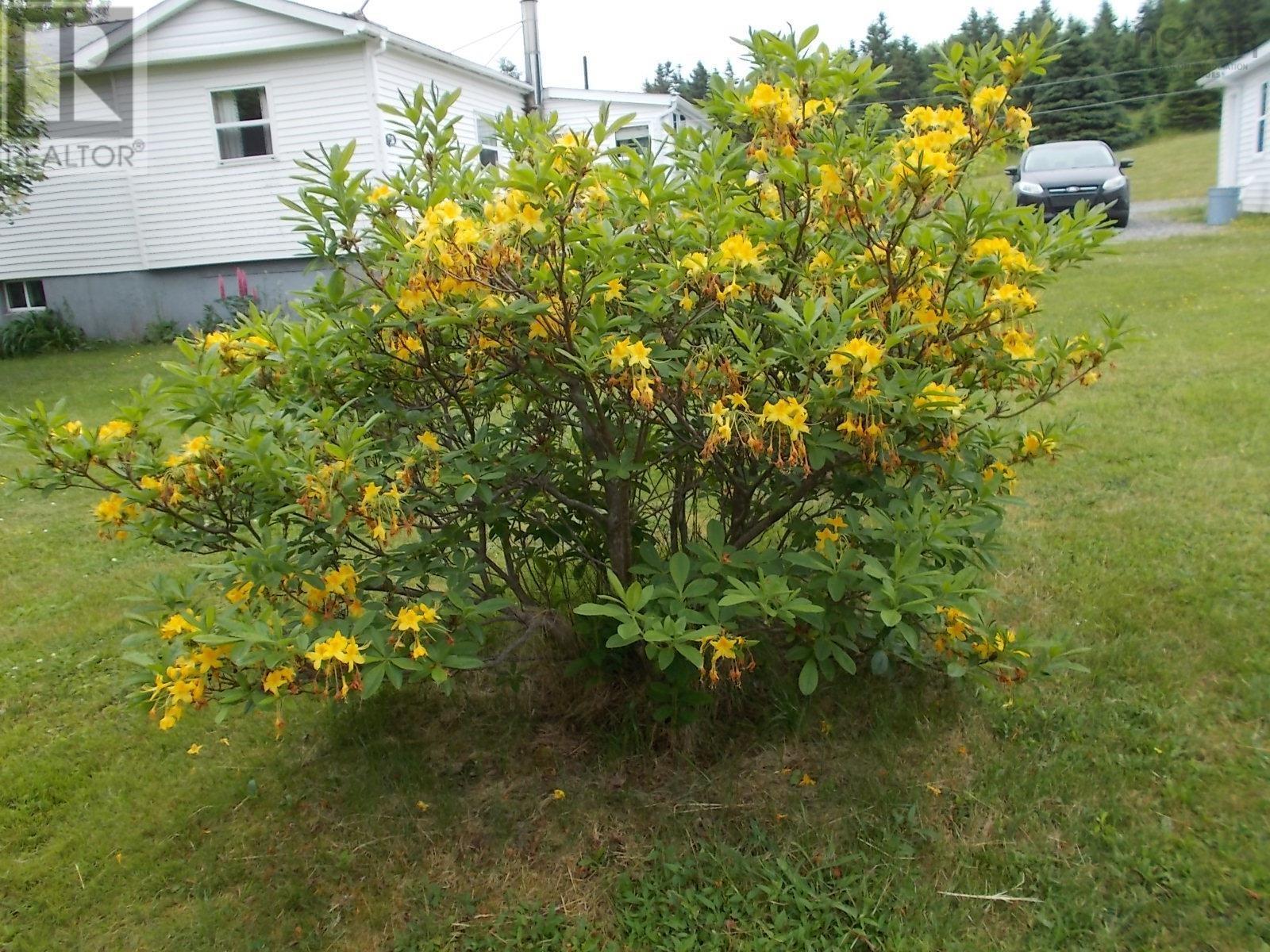 picture 39