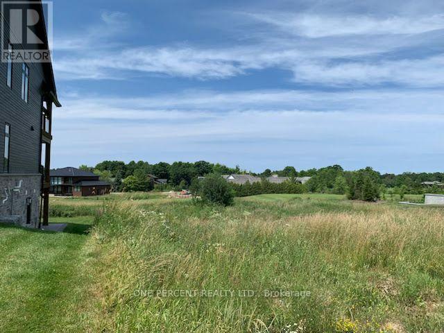 Lot 34 George Mcrae Road, Blue Mountains, Ontario N0H 1J0 - Photo 5 - X13751928