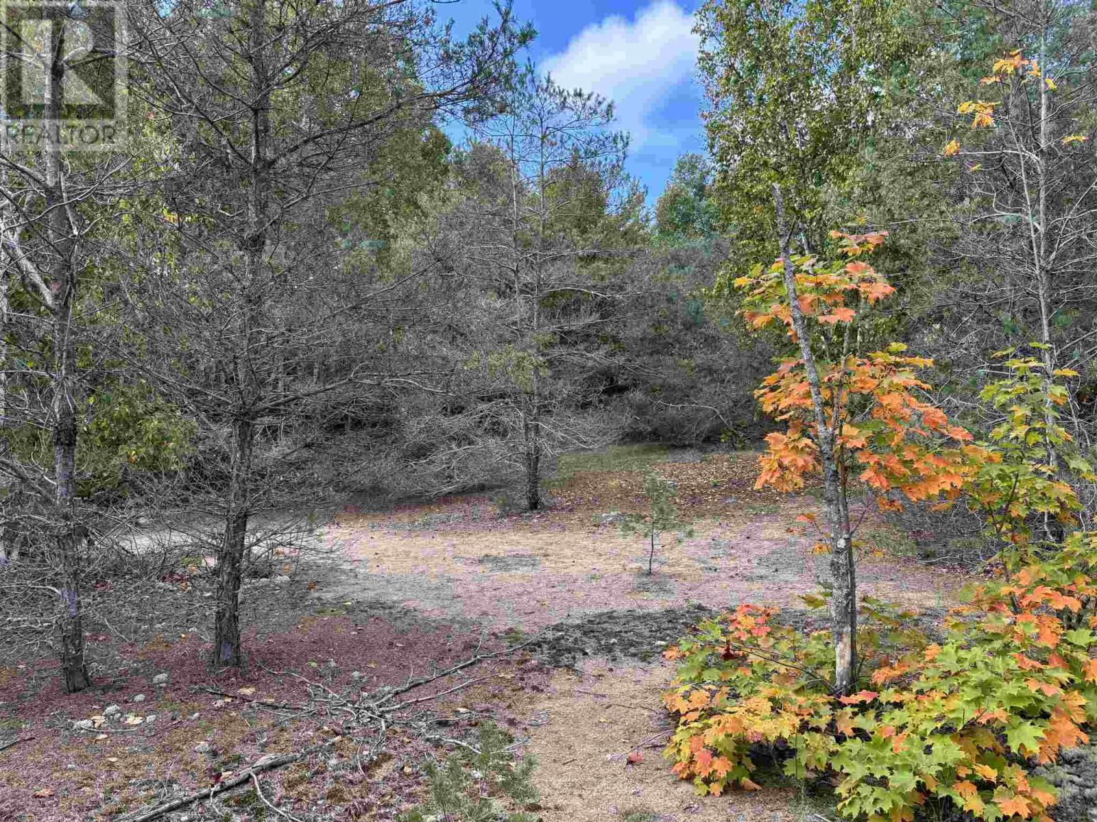 . Pcl 1472 Hilton, St. Joseph Island, Ontario  P0R 1J0 - Photo 3 - SM261142