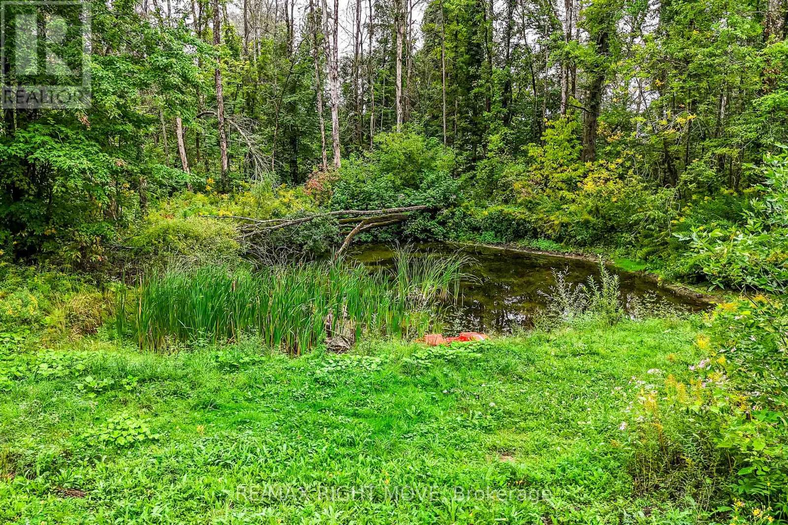 7514 Rama Road, Ramara, Ontario  L0K 2B0 - Photo 45 - S13752230