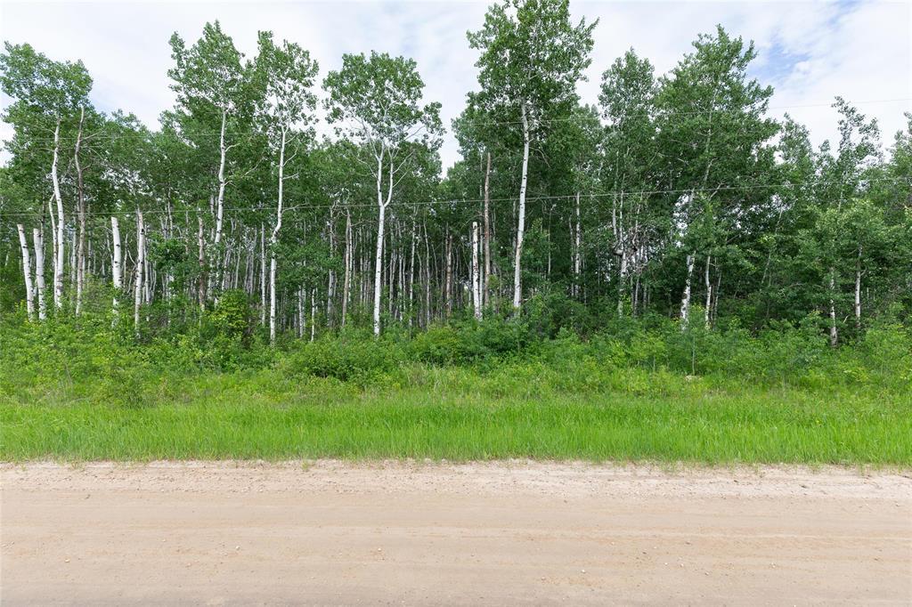 1 39139 Road 41e Road, La Broquerie, Manitoba  R0A 0W0 - Photo 2 - 202622448