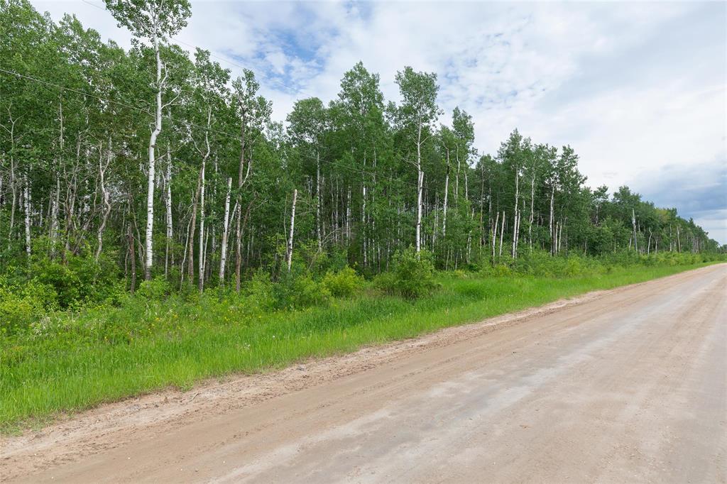 1 39139 Road 41e Road, La Broquerie, Manitoba  R0A 0W0 - Photo 5 - 202622448