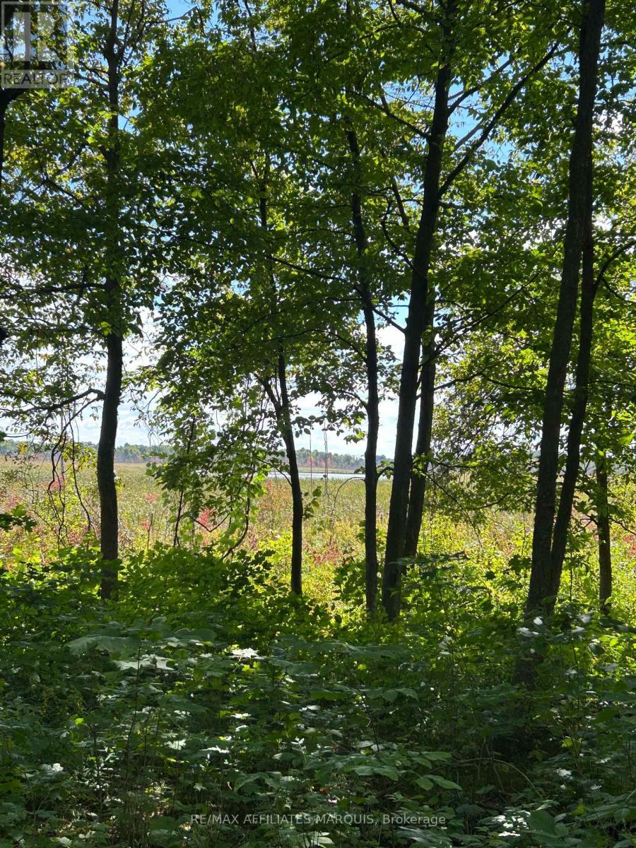 00 Station Road, Rideau Lakes, Ontario  K0G 1V0 - Photo 7 - X13750510