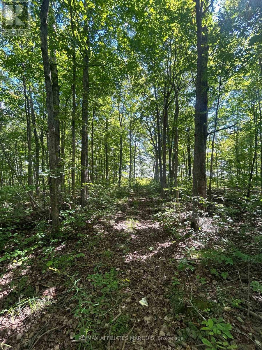 00 Station Road, Rideau Lakes, Ontario  K0G 1V0 - Photo 8 - X13750510