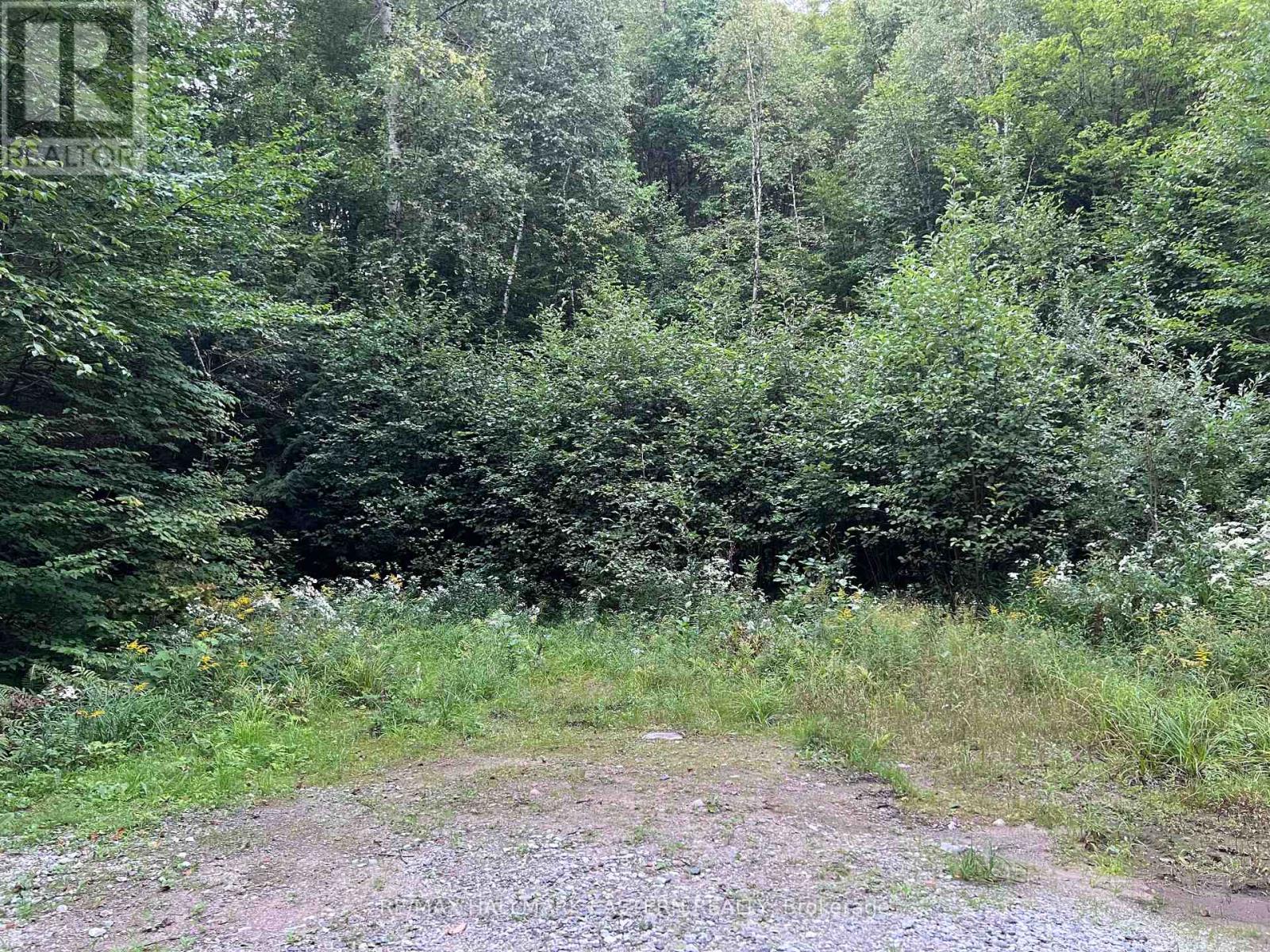 0 Albion Lake Drive, Faraday, Ontario  K0L 1C0 - Photo 10 - X13752414
