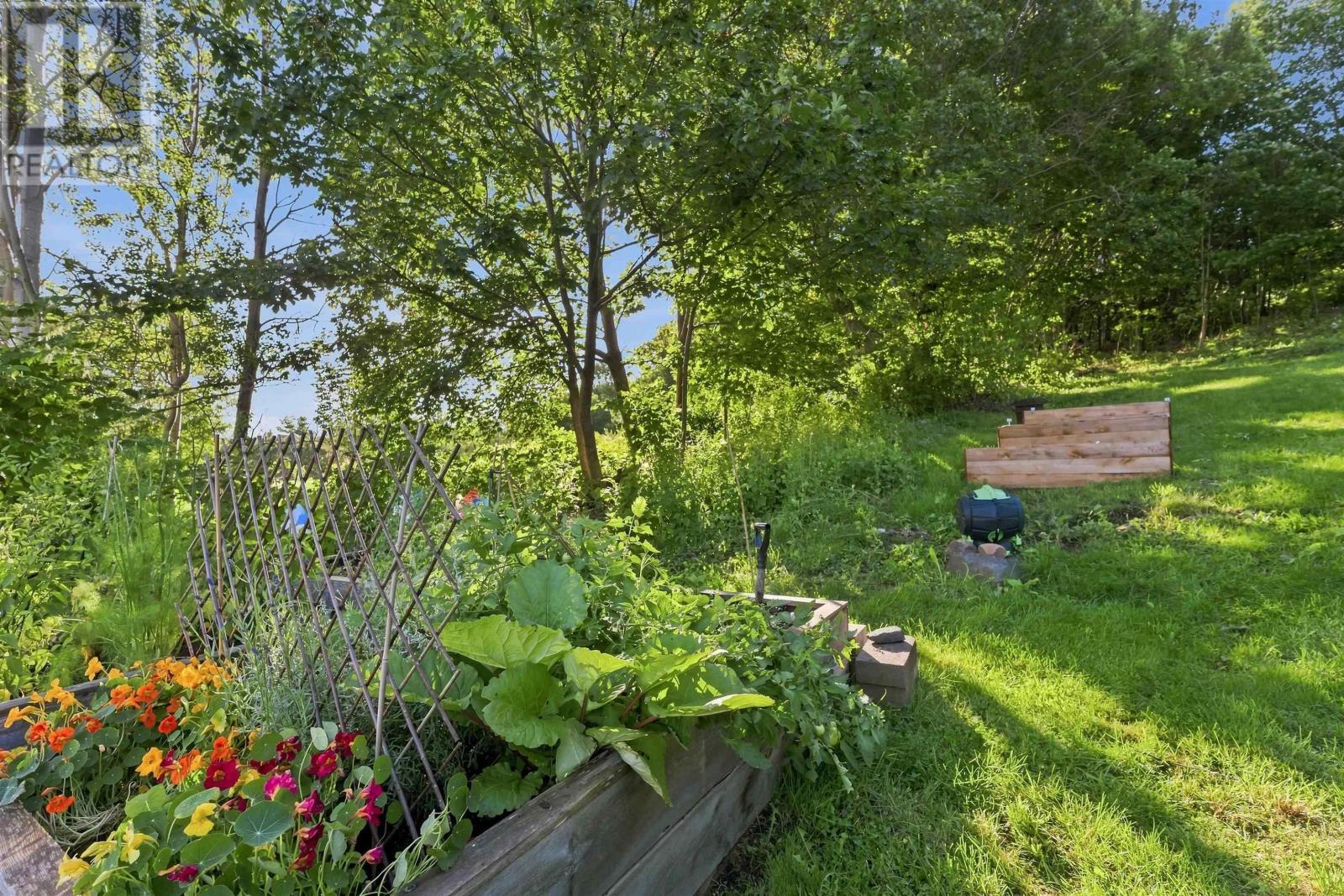 picture 33