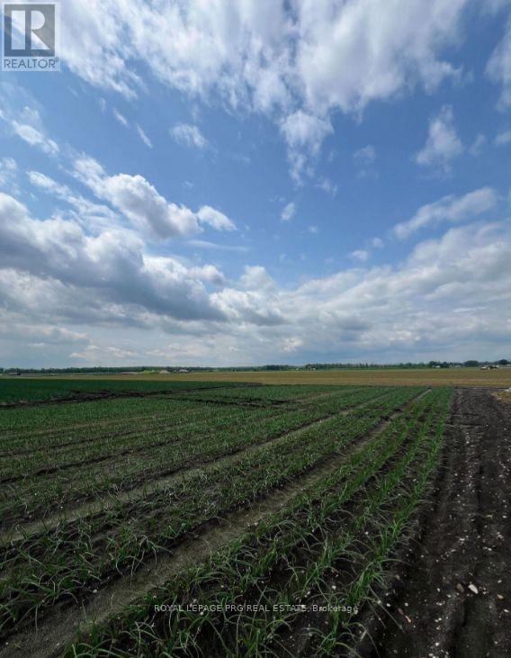1160 River Rd Road, Bradford West Gwillimbury, Ontario  L3Z 4A3 - Photo 11 - N13738914