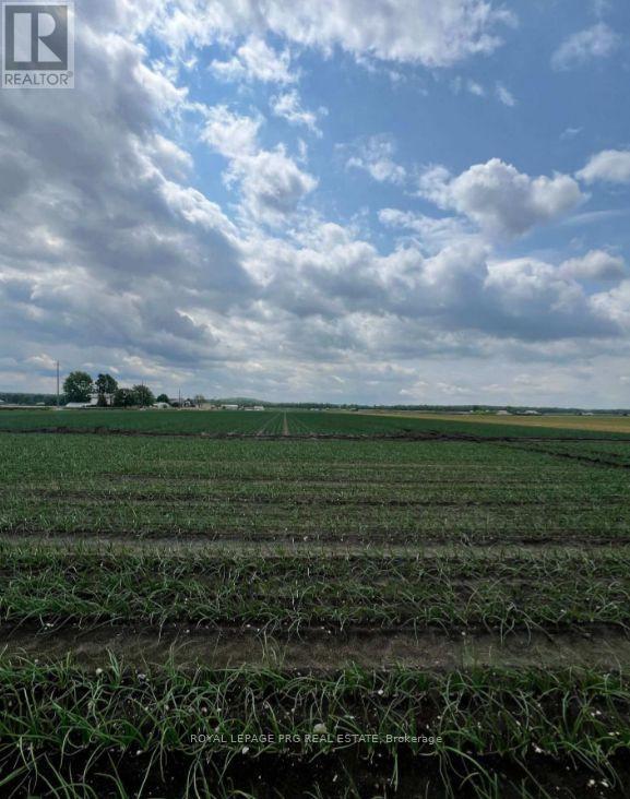 1160 River Rd Road, Bradford West Gwillimbury, Ontario  L3Z 4A3 - Photo 13 - N13738914