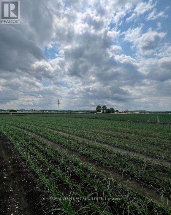 1160 River Rd Road, Bradford West Gwillimbury, Ontario  L3Z 4A3 - Photo 12 - N13738914