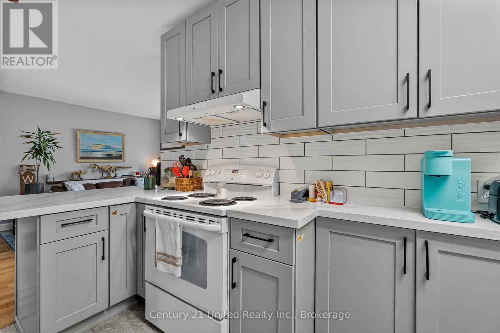 577 Homewood Avenue, Peterborough, Ontario  K9J 4V9 - Photo 30 - X13752798