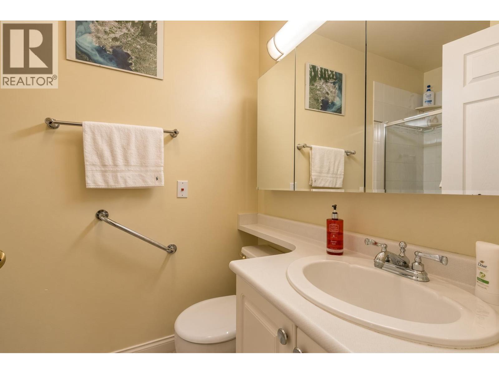313 2995 Princess Crescent, Coquitlam, British Columbia  V3B 7N1 - Photo 12 - R3162051