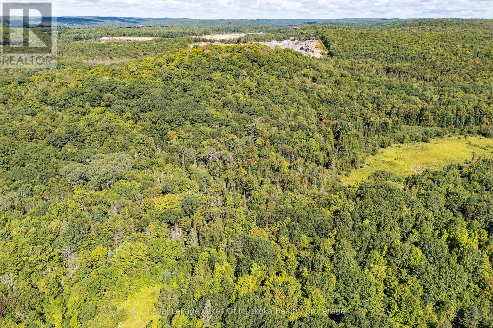 382 60 Highway, Huntsville, Ontario  P1H 1B6 - Photo 28 - X13752834