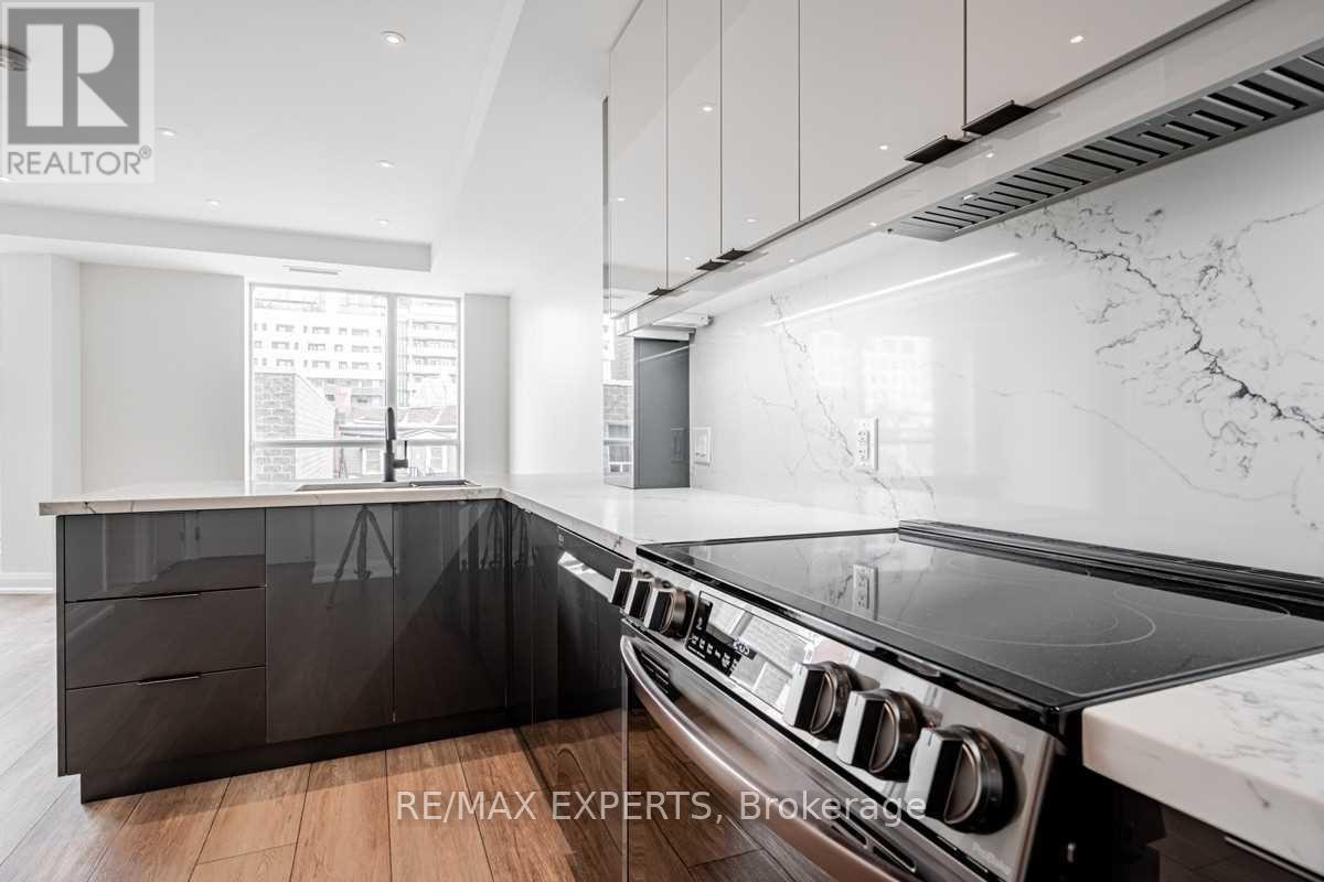 516b - 18 Beverley Street, Toronto, Ontario  M5T 3L2 - Photo 5 - C13752918