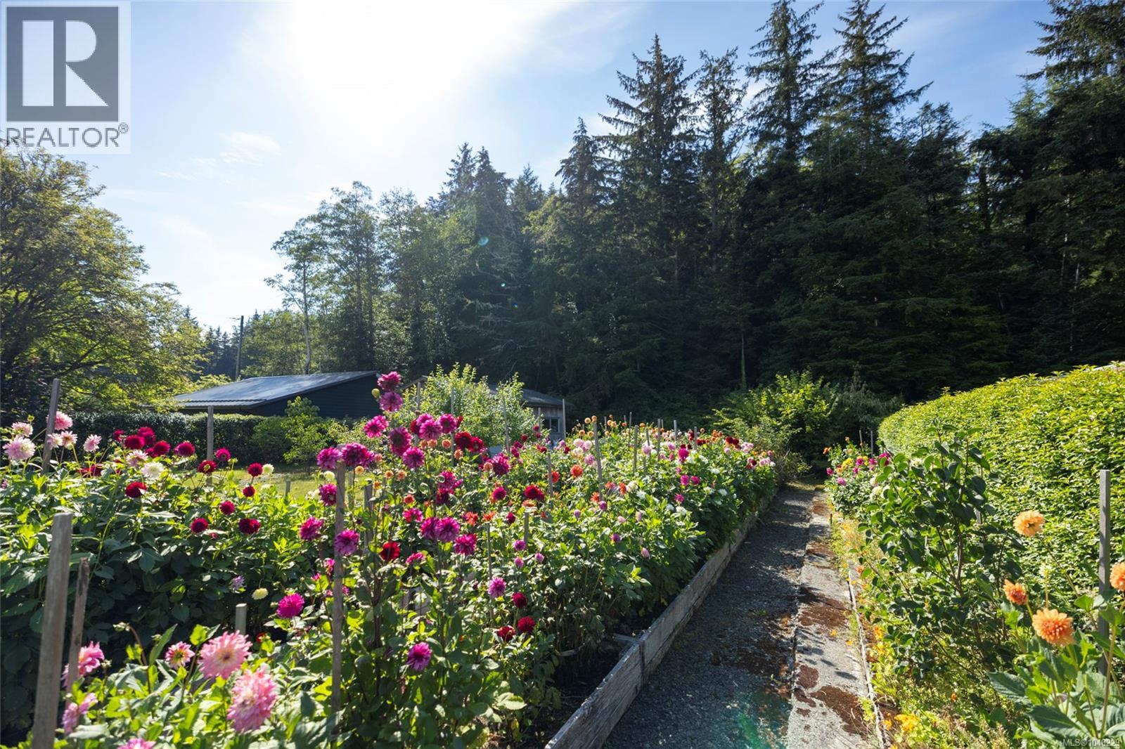 6420 Chatham Ave, Port Hardy, British Columbia  V0N 2P0 - Photo 9 - 1048229