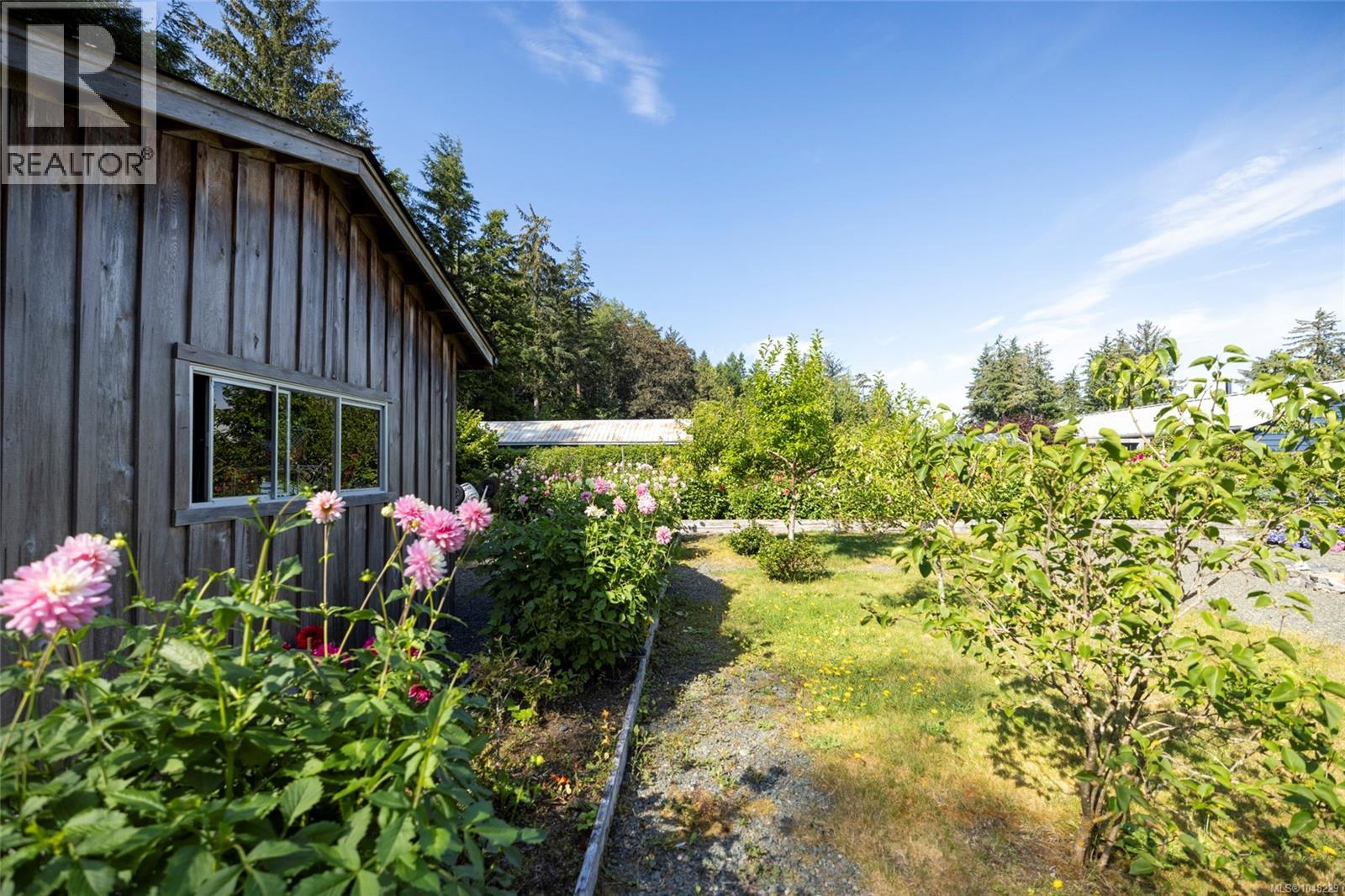 6420 Chatham Ave, Port Hardy, British Columbia  V0N 2P0 - Photo 7 - 1048229