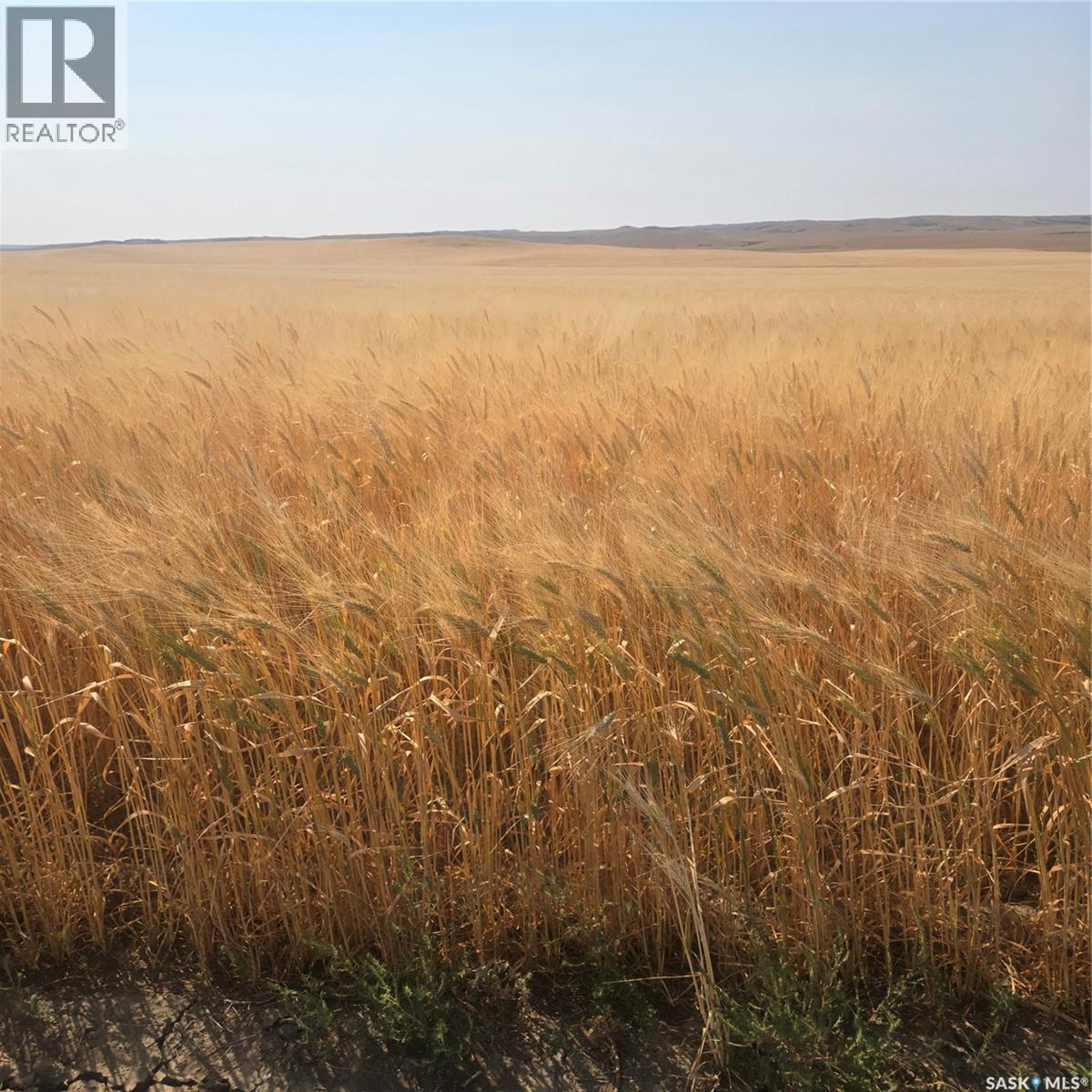 Rm044 - Geoffrion Farmland, Waverley Rm No. 44, Saskatchewan  S0H 4L0 - Photo 6 - SK047742