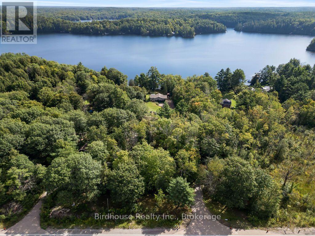 1022 Mulberry Lane, Minden Hills, Ontario  K0M 2L1 - Photo 4 - X13753416