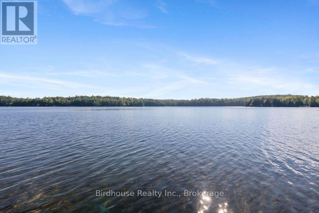1022 Mulberry Lane, Minden Hills, Ontario  K0M 2L1 - Photo 49 - X13753416