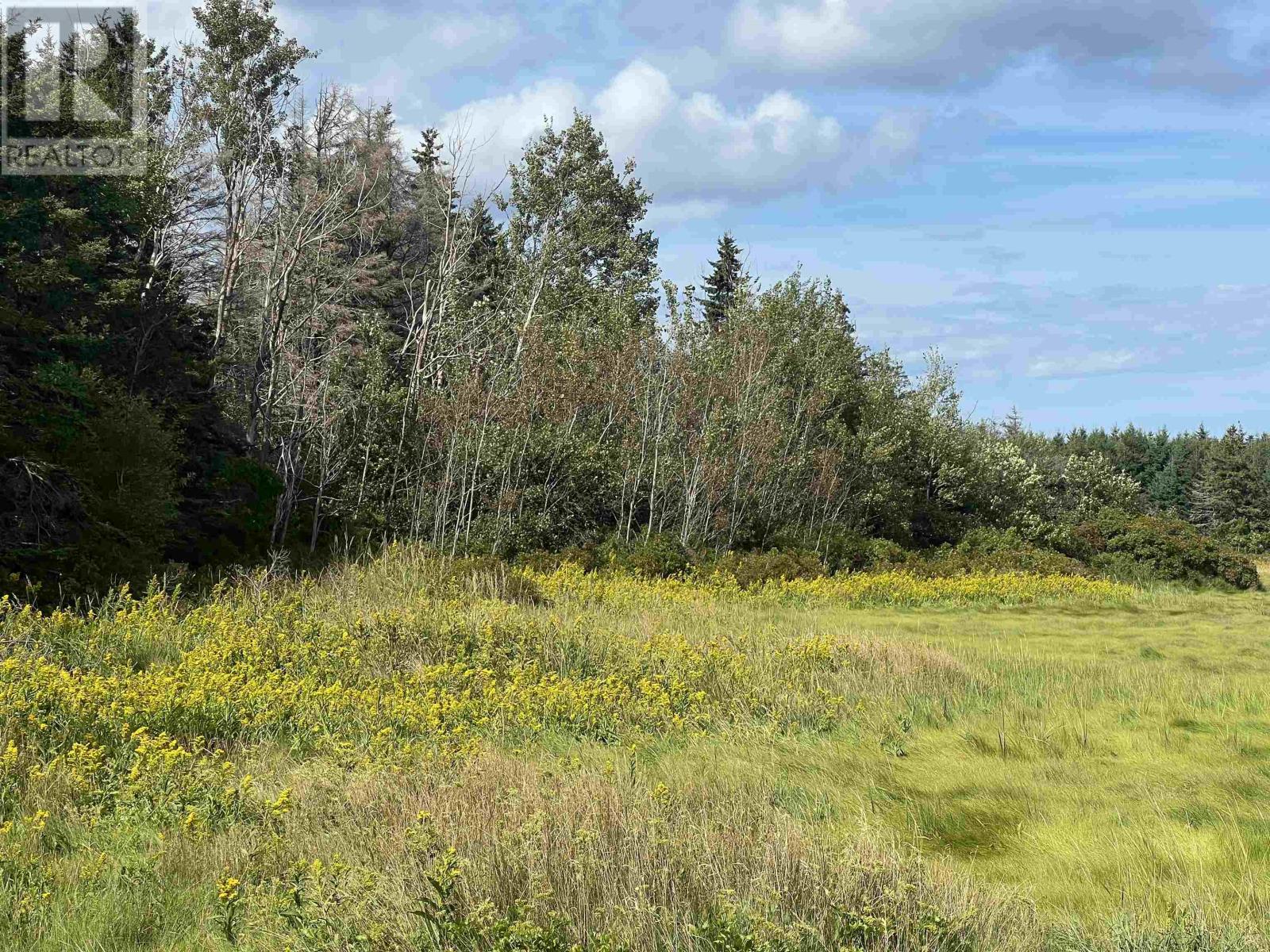 Acreage Cymbria, Cymbria, Prince Edward Island C0A 1N0 - Photo 2 - 202622608