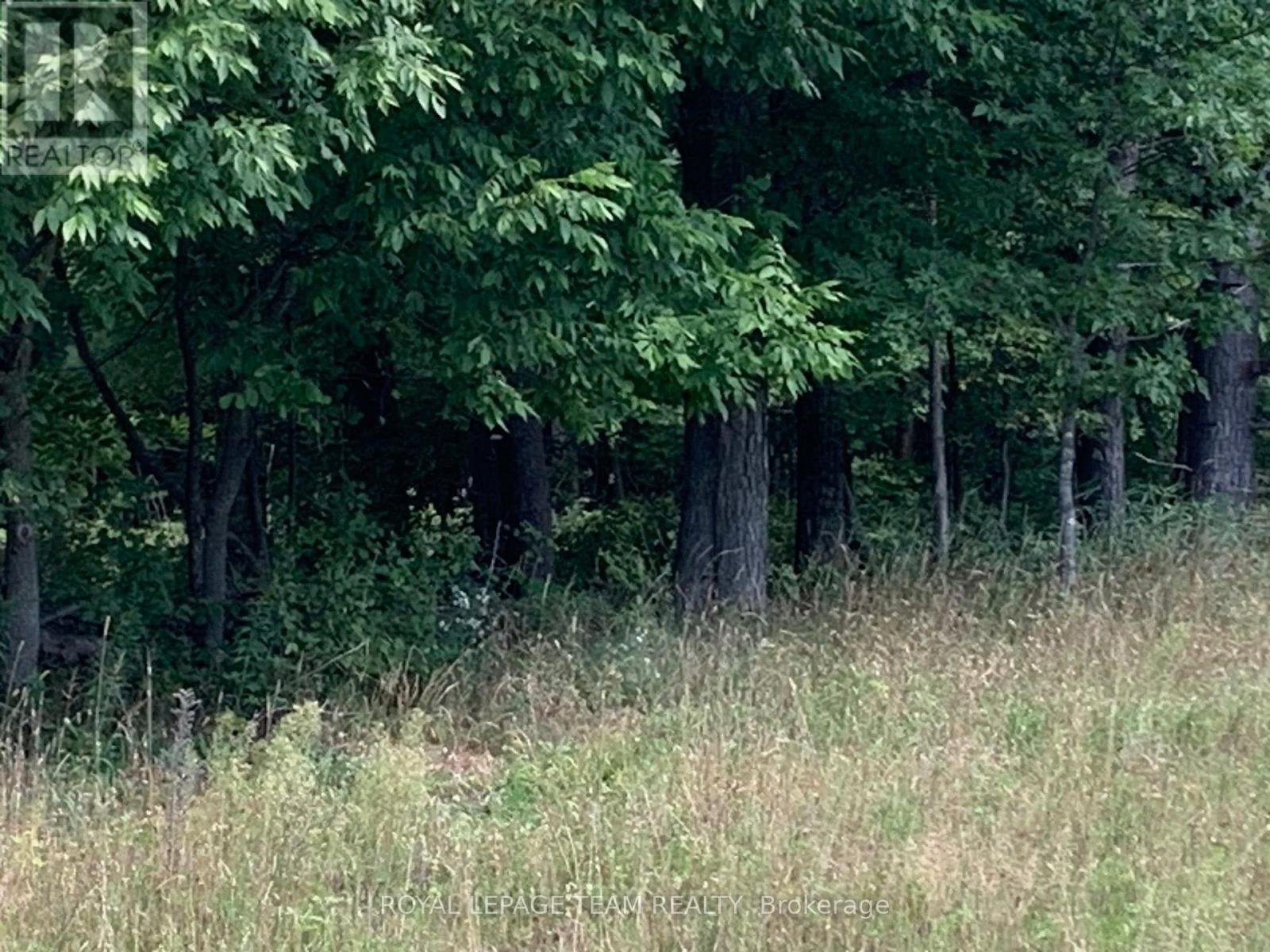 485 5th Concession S, Mississippi Mills, Ontario  K0A 2X0 - Photo 14 - X13753922