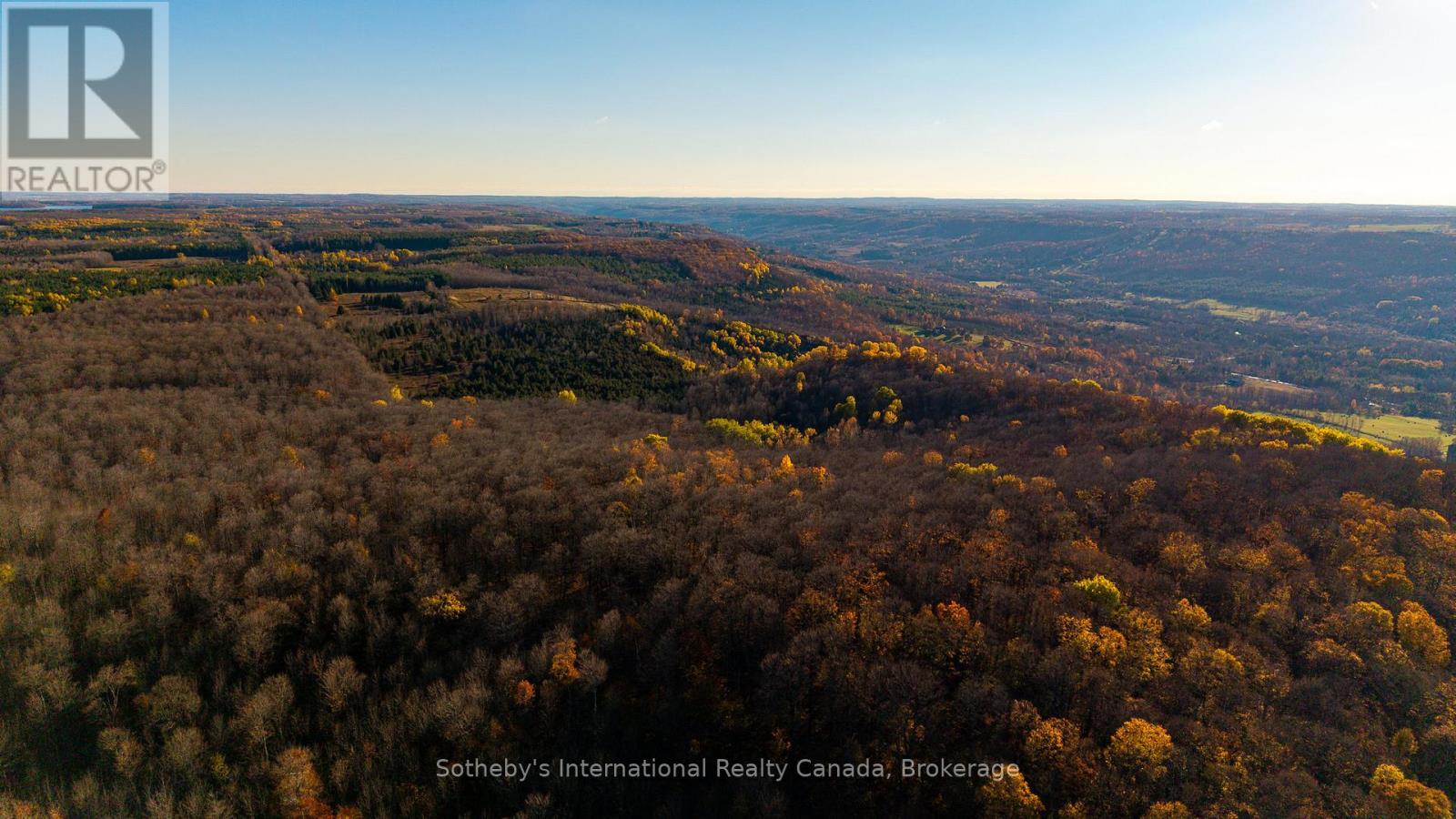 315298 3rd Line A, Grey Highlands, Ontario  N0C 1E0 - Photo 34 - X13753902
