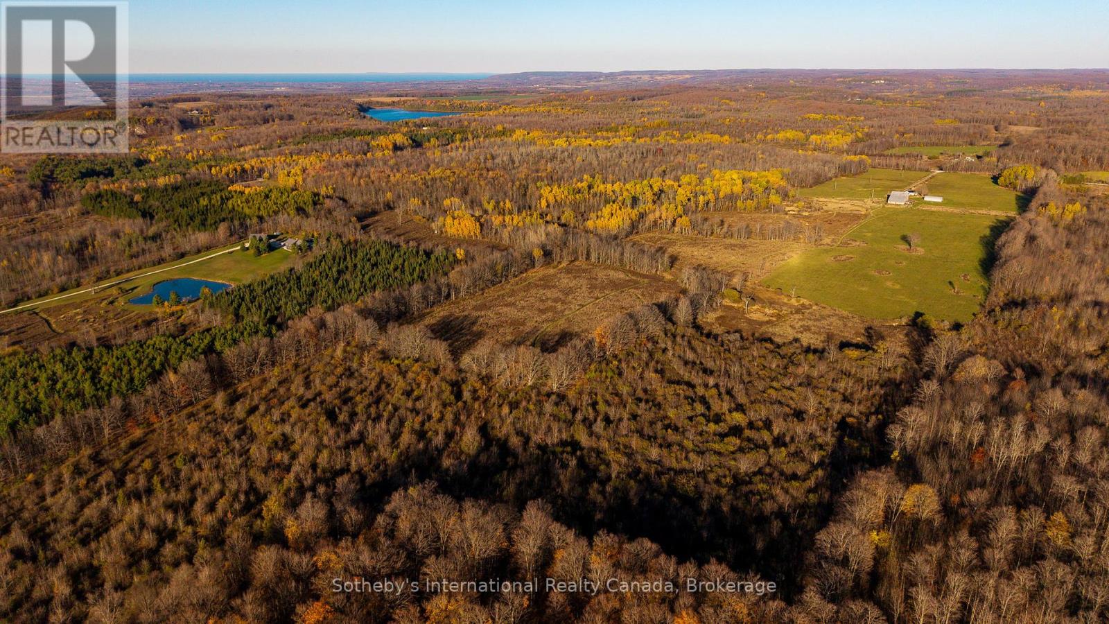 315298 3rd Line A, Grey Highlands, Ontario  N0C 1E0 - Photo 4 - X13753902