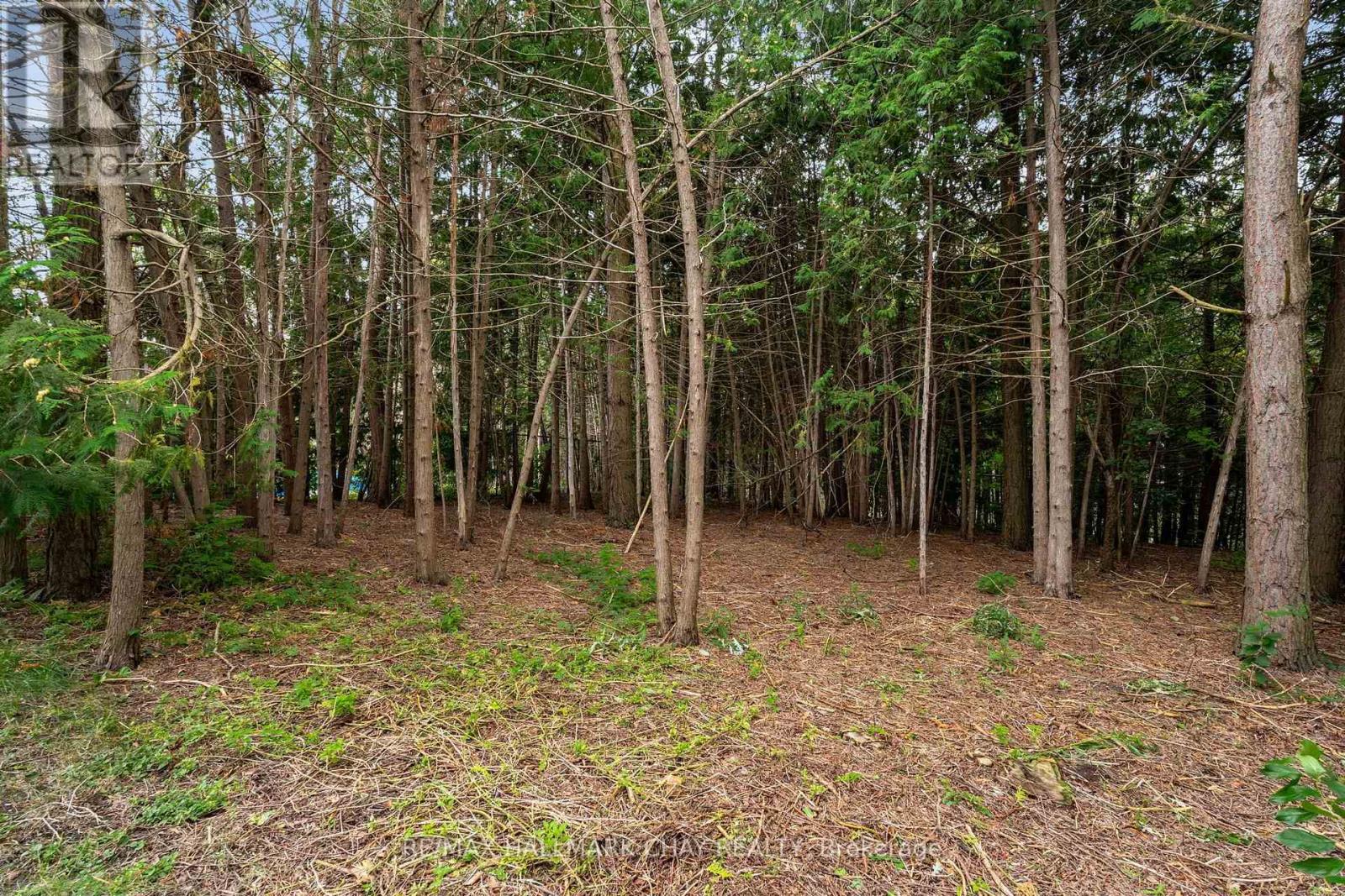 46 Birkhall Place, Barrie, Ontario  L4N 0K5 - Photo 35 - S13754148
