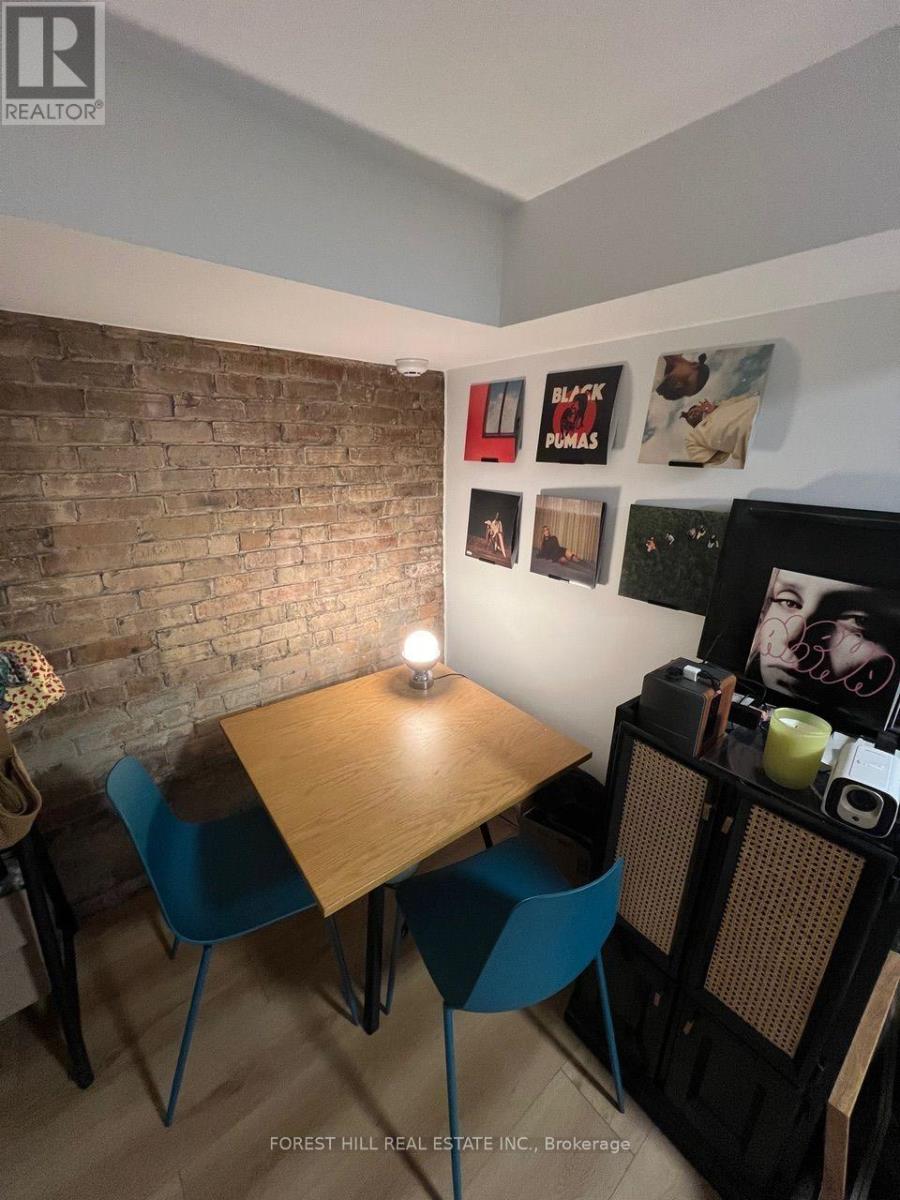 Lower - 77 Brunswick Avenue, Toronto, Ontario  M5S 2L8 - Photo 7 - C13754548