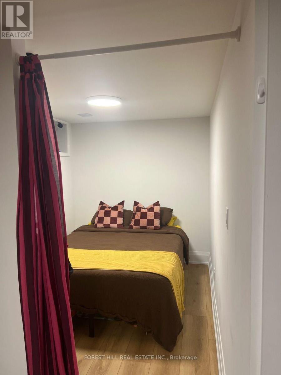 Lower - 77 Brunswick Avenue, Toronto, Ontario  M5S 2L8 - Photo 8 - C13754548