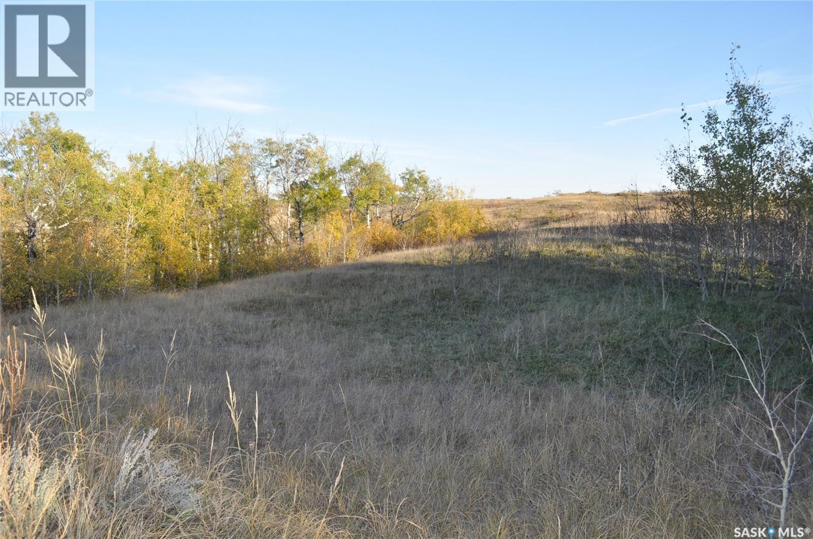 Peace Point Estates, Dundurn Rm No. 314, Saskatchewan  S7K 4E2 - Photo 13 - SK047699