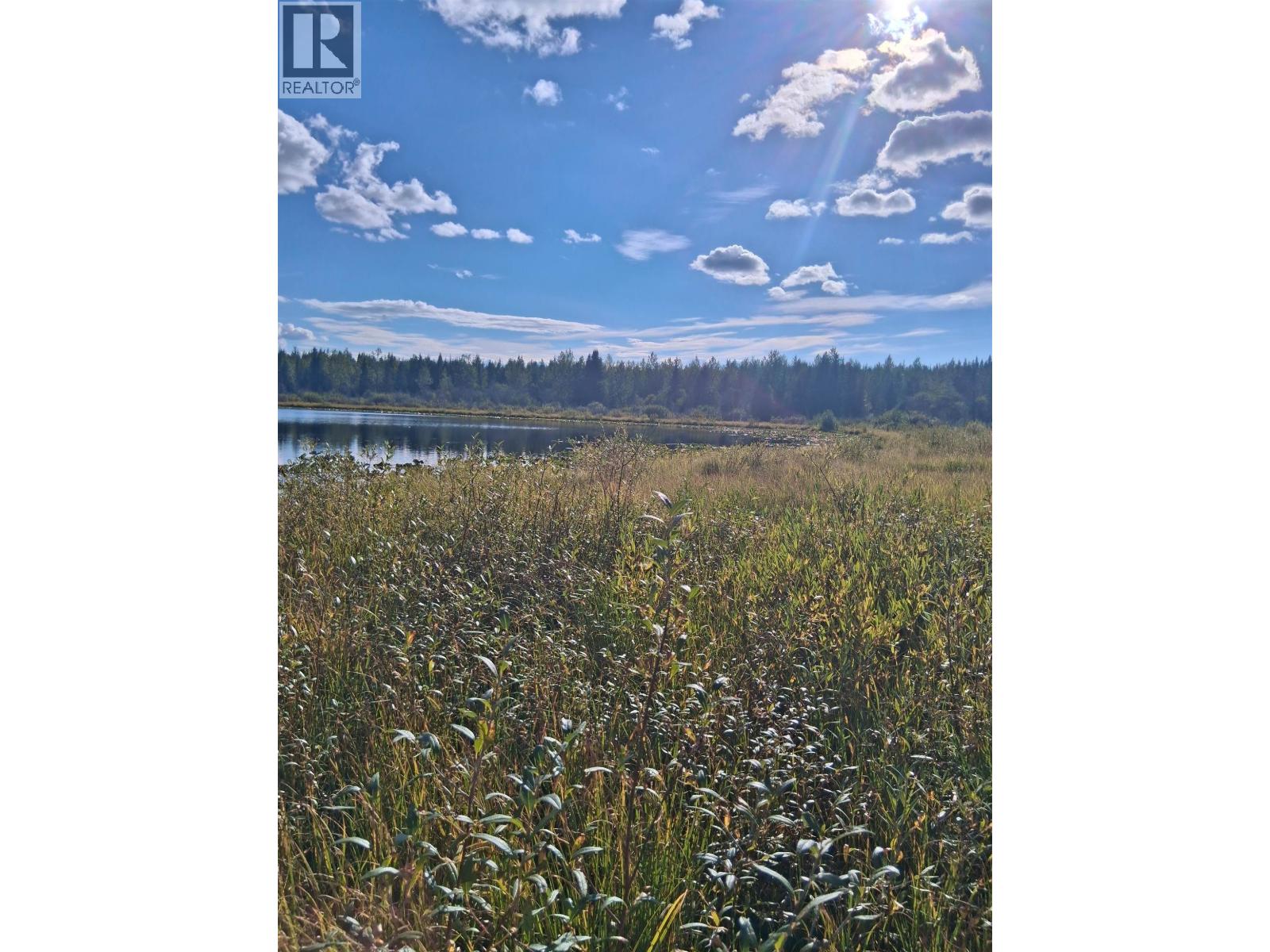 15861 Jarman Road, Houston, British Columbia  V0J 1Z2 - Photo 4 - R3161708
