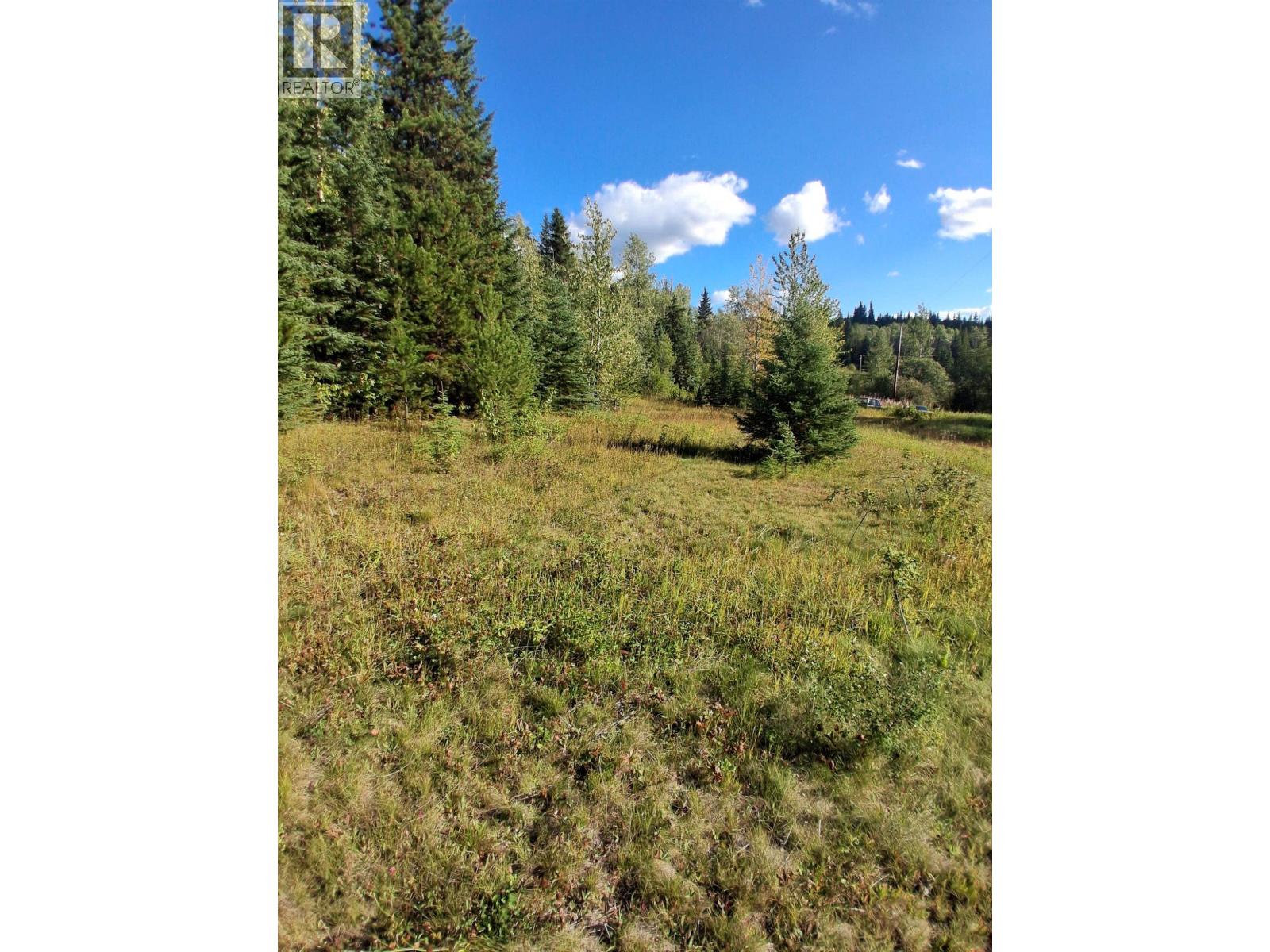 15861 Jarman Road, Houston, British Columbia  V0J 1Z2 - Photo 17 - R3161708