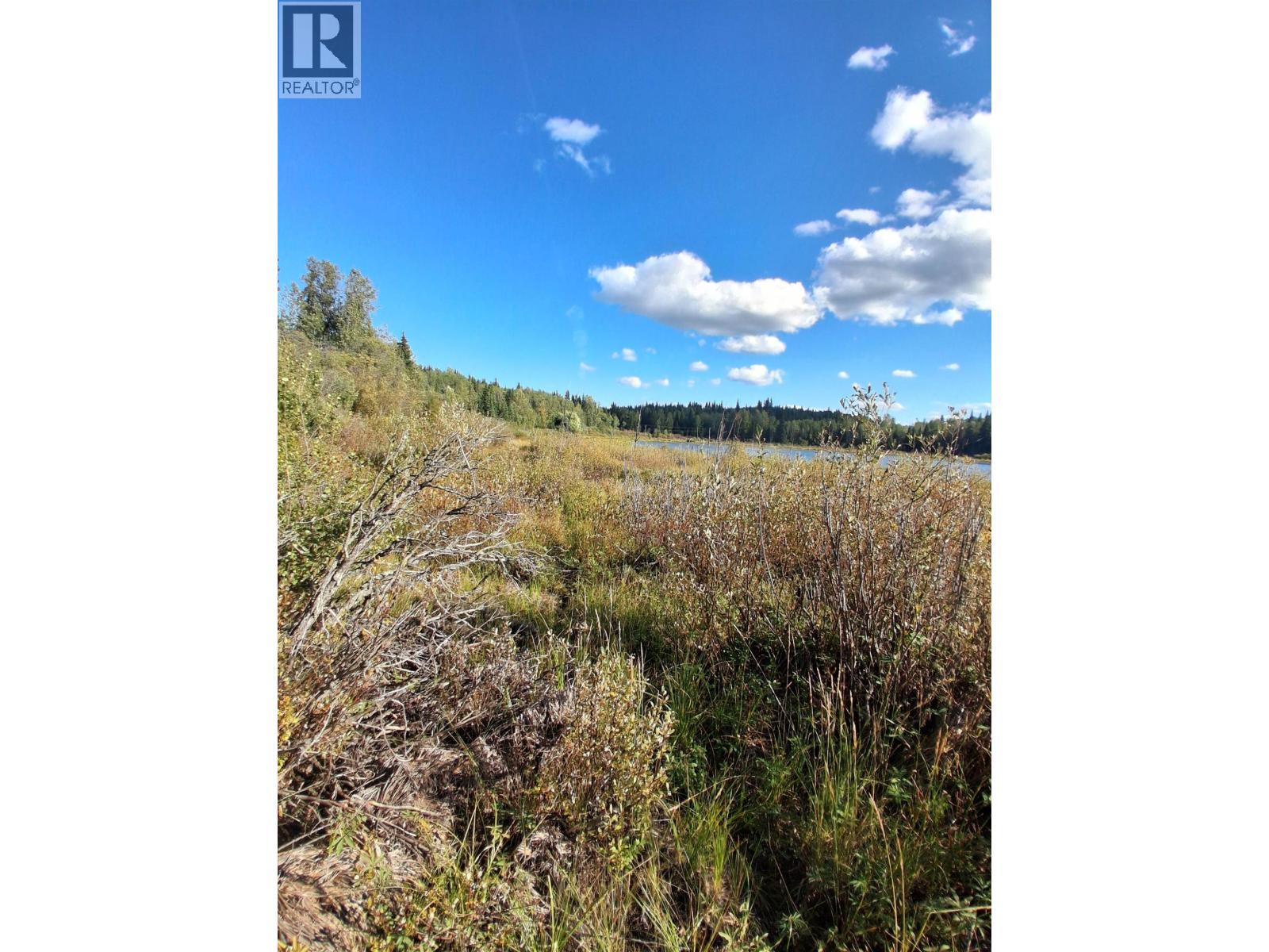 15861 Jarman Road, Houston, British Columbia  V0J 1Z2 - Photo 10 - R3161708