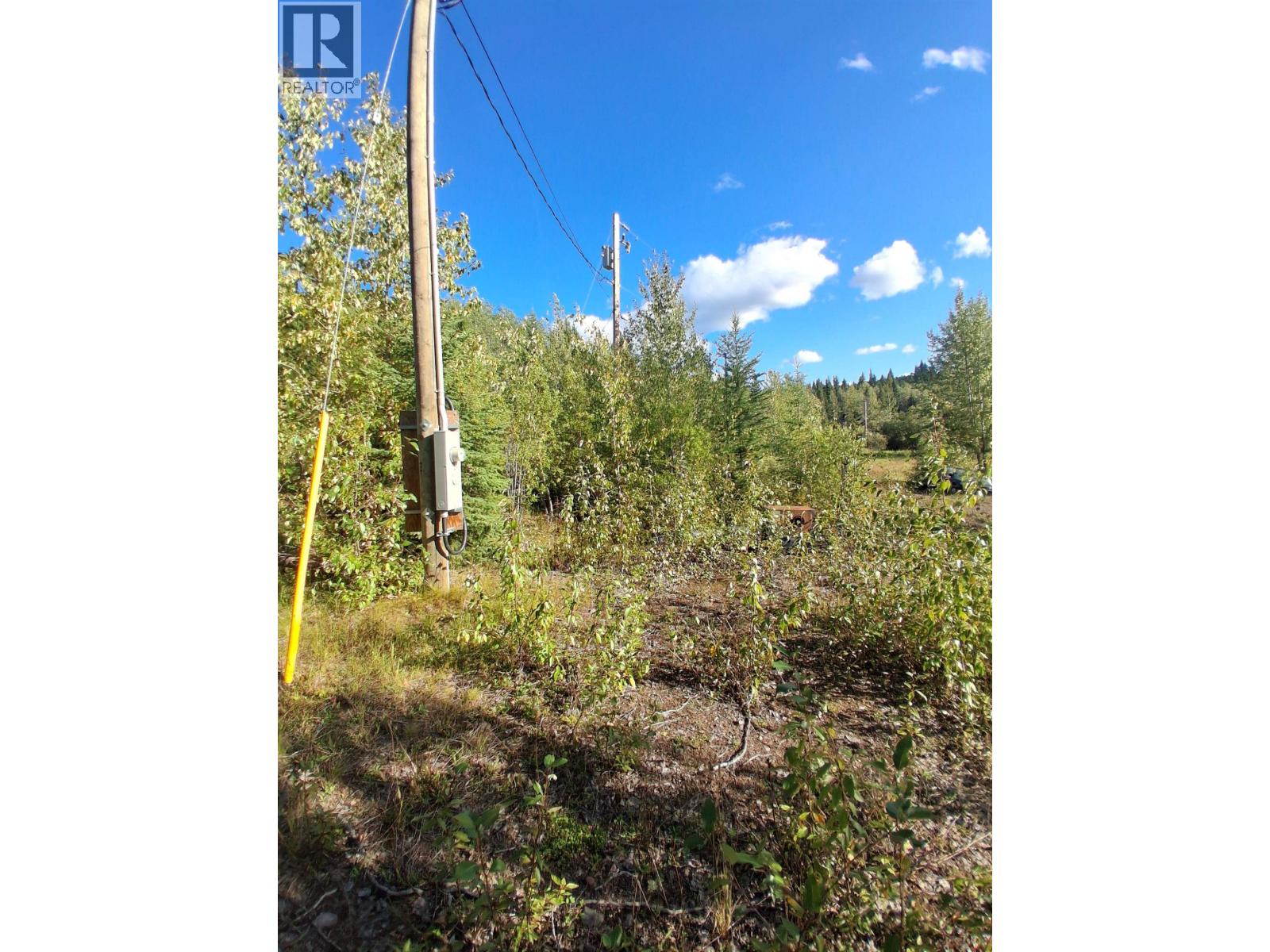 15861 Jarman Road, Houston, British Columbia  V0J 1Z2 - Photo 16 - R3161708