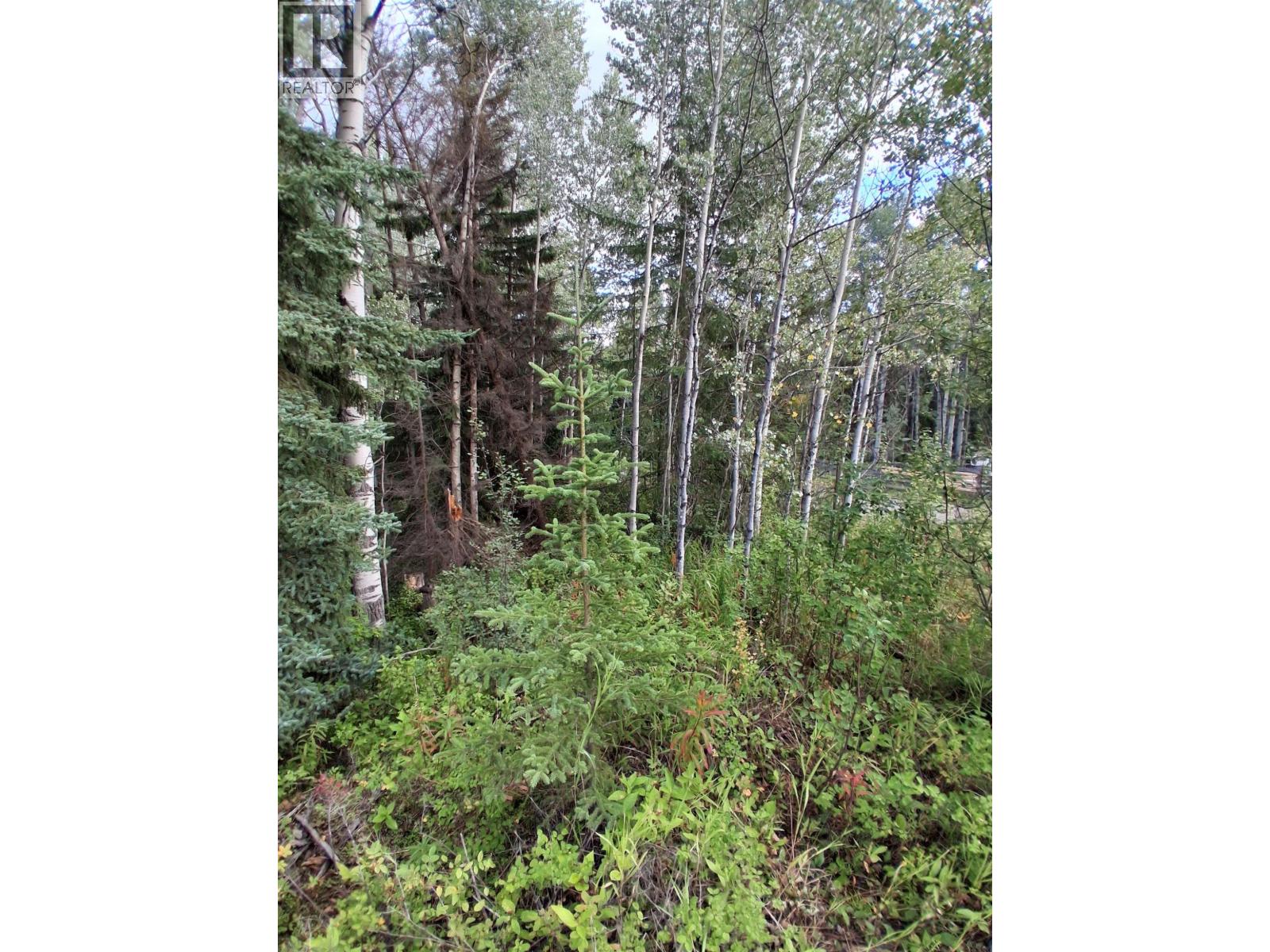 23336 Howells Road, Topley, British Columbia  V0J 2N0 - Photo 14 - R3159712