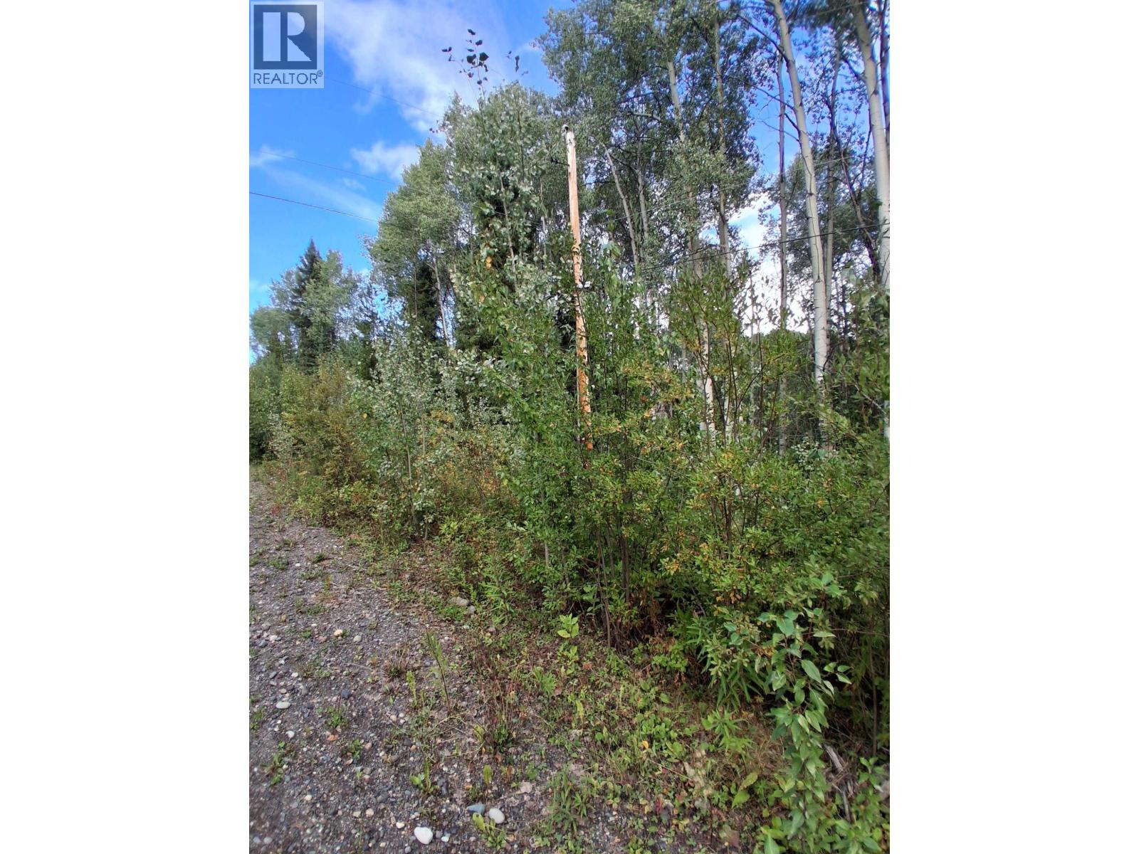 23336 Howells Road, Topley, British Columbia  V0J 2N0 - Photo 11 - R3159712