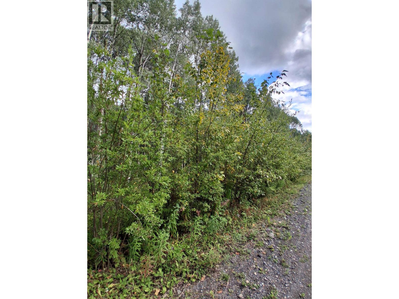 23336 Howells Road, Topley, British Columbia  V0J 2N0 - Photo 12 - R3159712