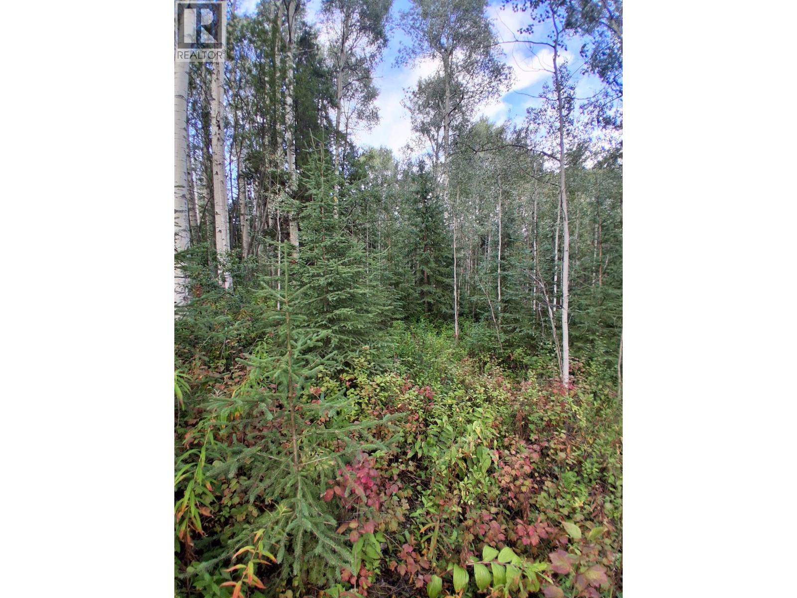 23336 Howells Road, Topley, British Columbia  V0J 2N0 - Photo 7 - R3159712
