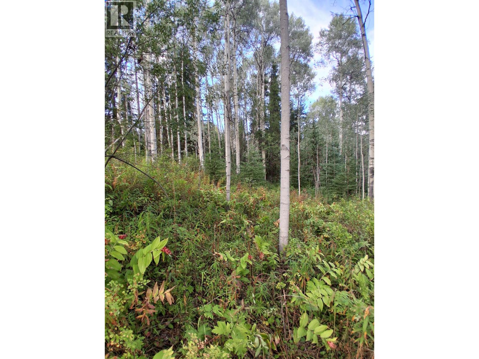 23336 Howells Road, Topley, British Columbia  V0J 2N0 - Photo 9 - R3159712