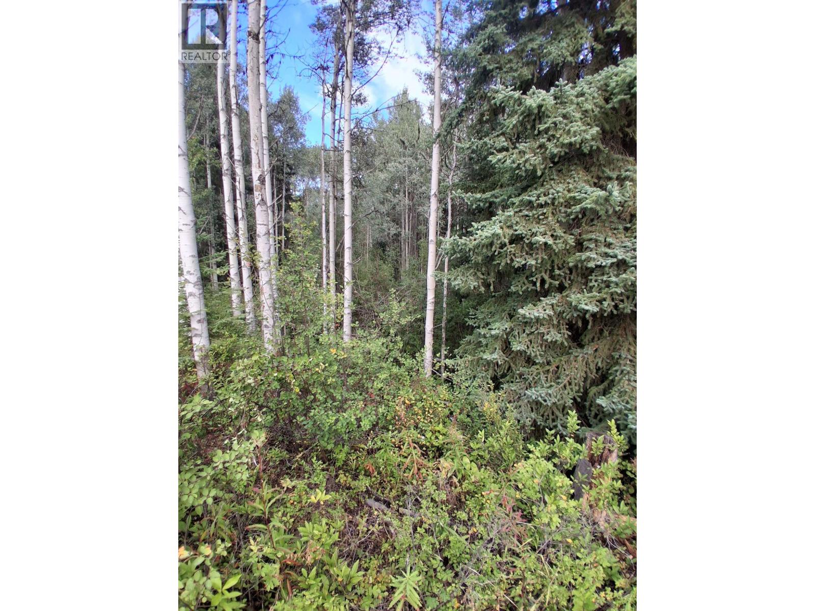 23336 Howells Road, Topley, British Columbia  V0J 2N0 - Photo 13 - R3159712