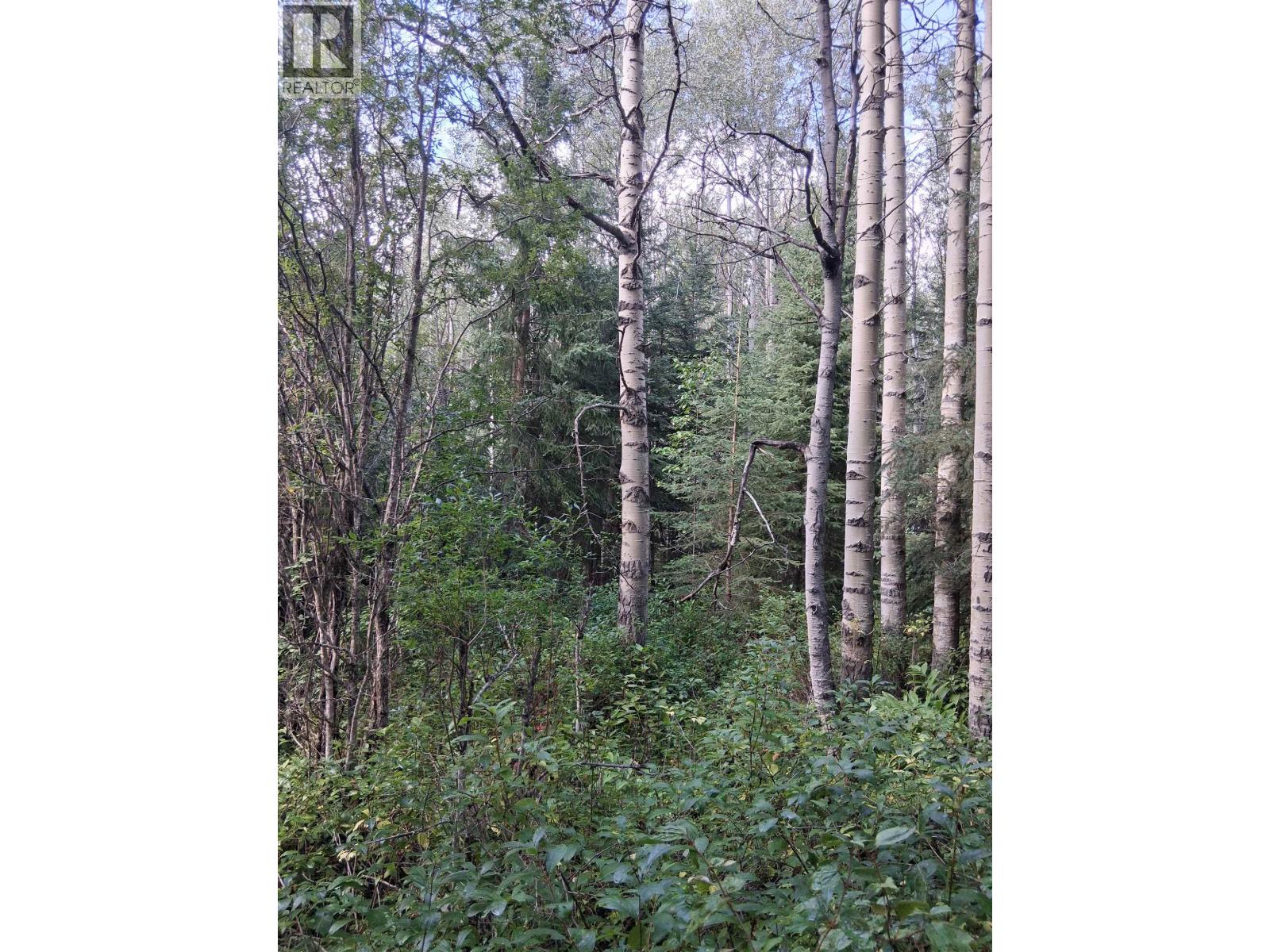 23336 Howells Road, Topley, British Columbia  V0J 2N0 - Photo 6 - R3159712
