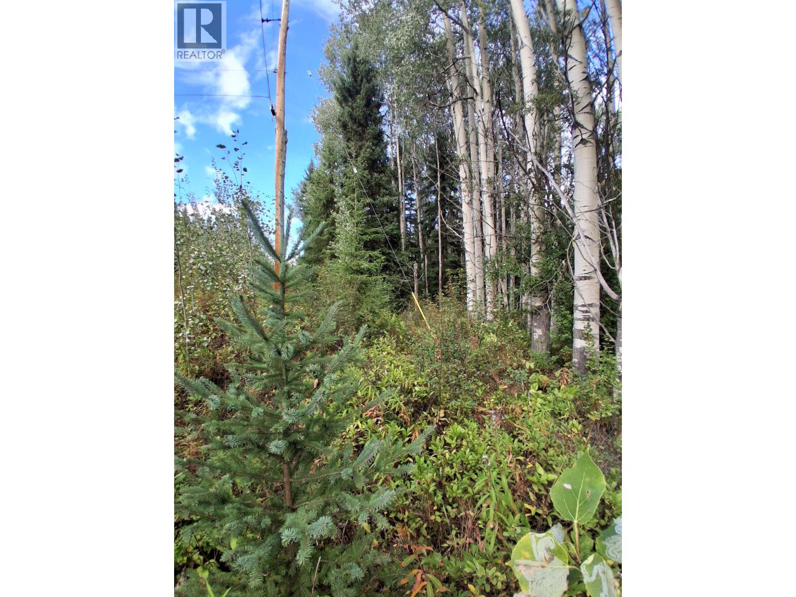 23336 Howells Road, Topley, British Columbia  V0J 2N0 - Photo 10 - R3159712