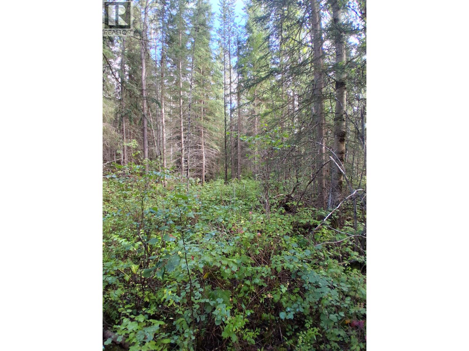23512 Howells Road, Topley, British Columbia  V0J 2N0 - Photo 4 - R3159706