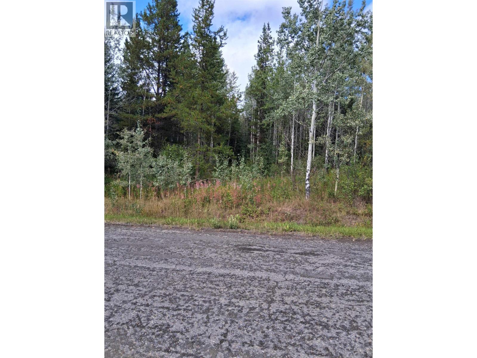23512 Howells Road, Topley, British Columbia  V0J 2N0 - Photo 6 - R3159706