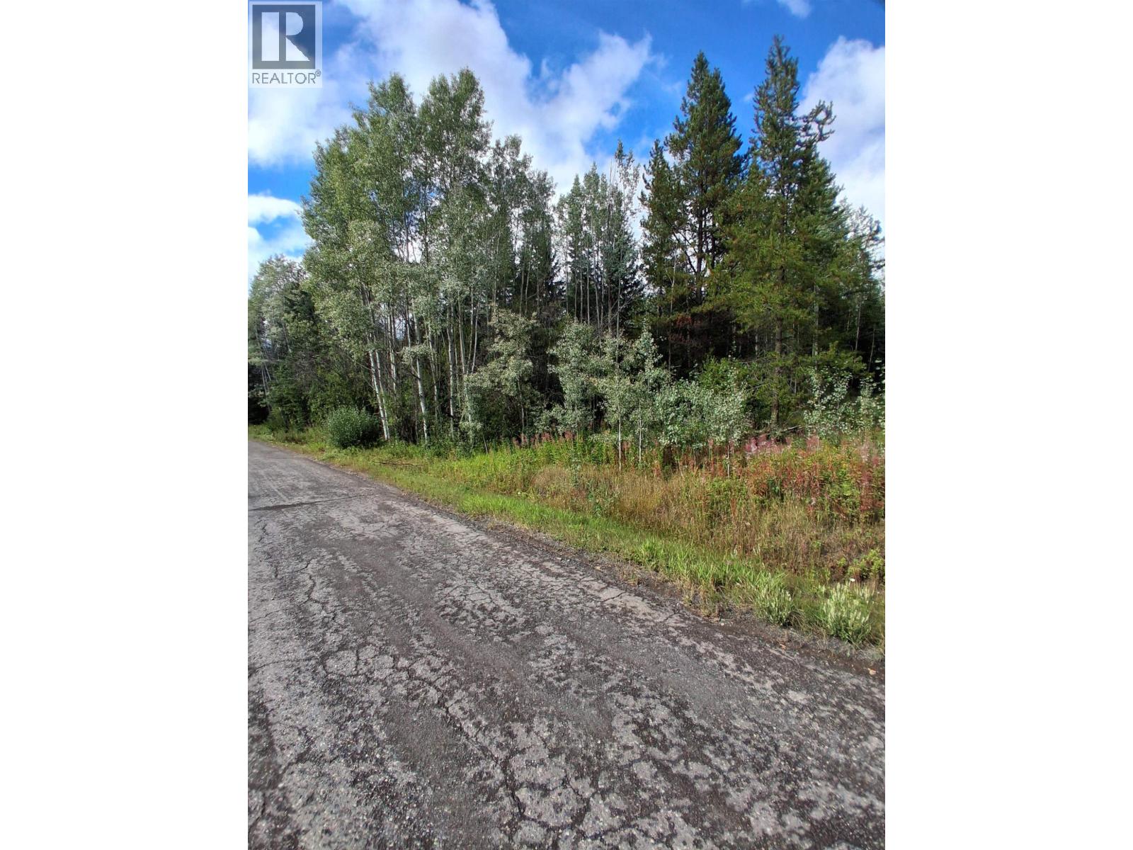 23512 Howells Road, Topley, British Columbia  V0J 2N0 - Photo 7 - R3159706