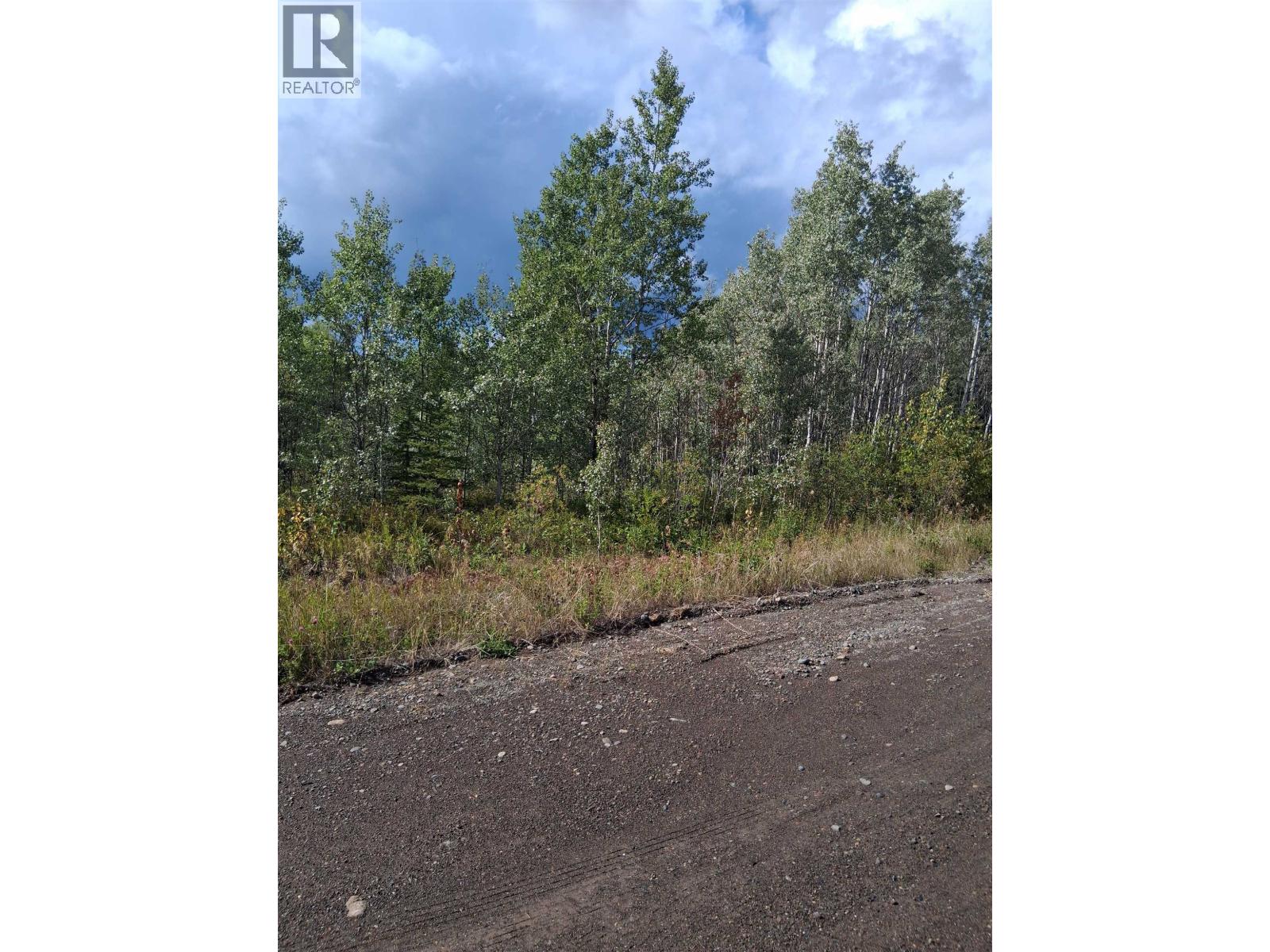 23512 Howells Road, Topley, British Columbia  V0J 2N0 - Photo 10 - R3159706