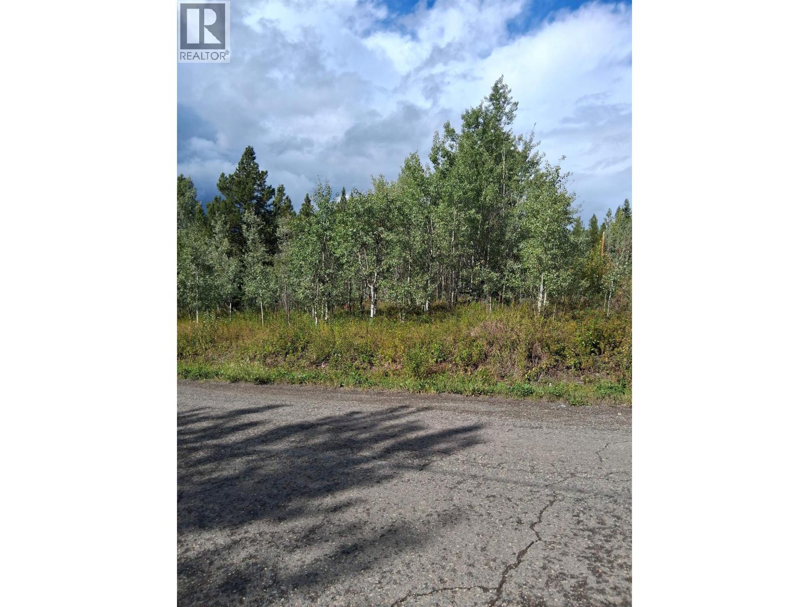 23512 Howells Road, Topley, British Columbia  V0J 2N0 - Photo 11 - R3159706