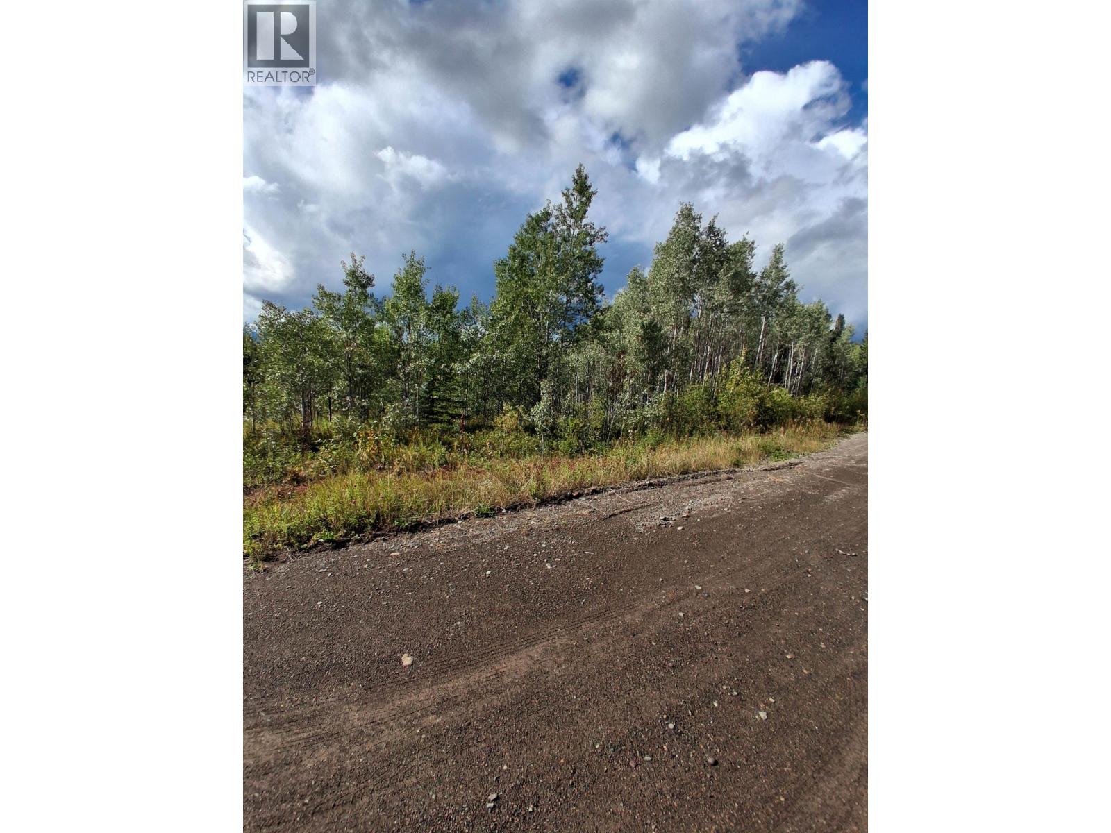 23512 Howells Road, Topley, British Columbia  V0J 2N0 - Photo 9 - R3159706