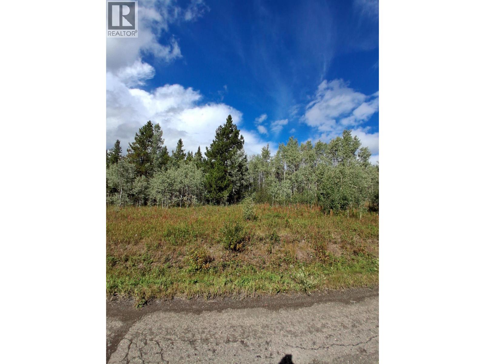 23512 Howells Road, Topley, British Columbia  V0J 2N0 - Photo 12 - R3159706
